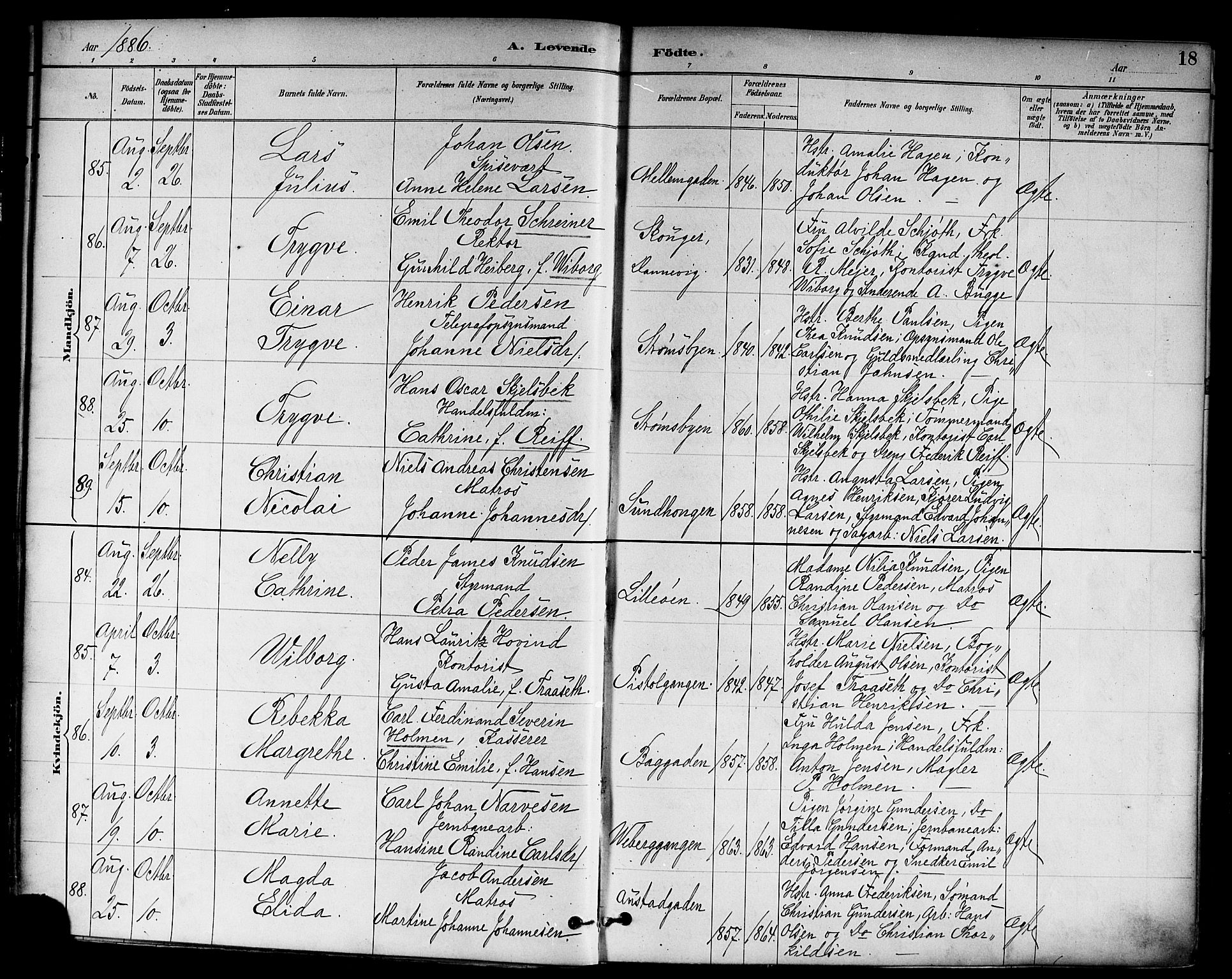 Strømsø kirkebøker, AV/SAKO-A-246/F/Fa/L0023: Ministerialbok nr. I 23, 1885-1894, s. 18