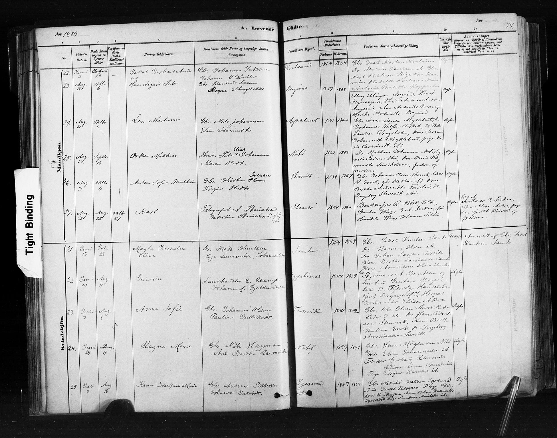 Ministerialprotokoller, klokkerbøker og fødselsregistre - Møre og Romsdal, SAT/A-1454/507/L0073: Ministerialbok nr. 507A08, 1878-1904, s. 74