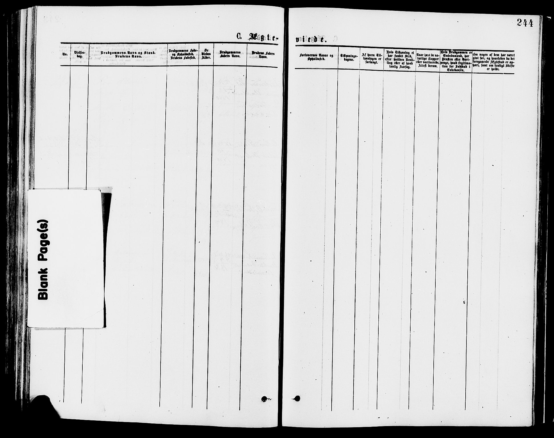 Trysil prestekontor, AV/SAH-PREST-046/H/Ha/Haa/L0007: Ministerialbok nr. 7, 1874-1880, s. 244