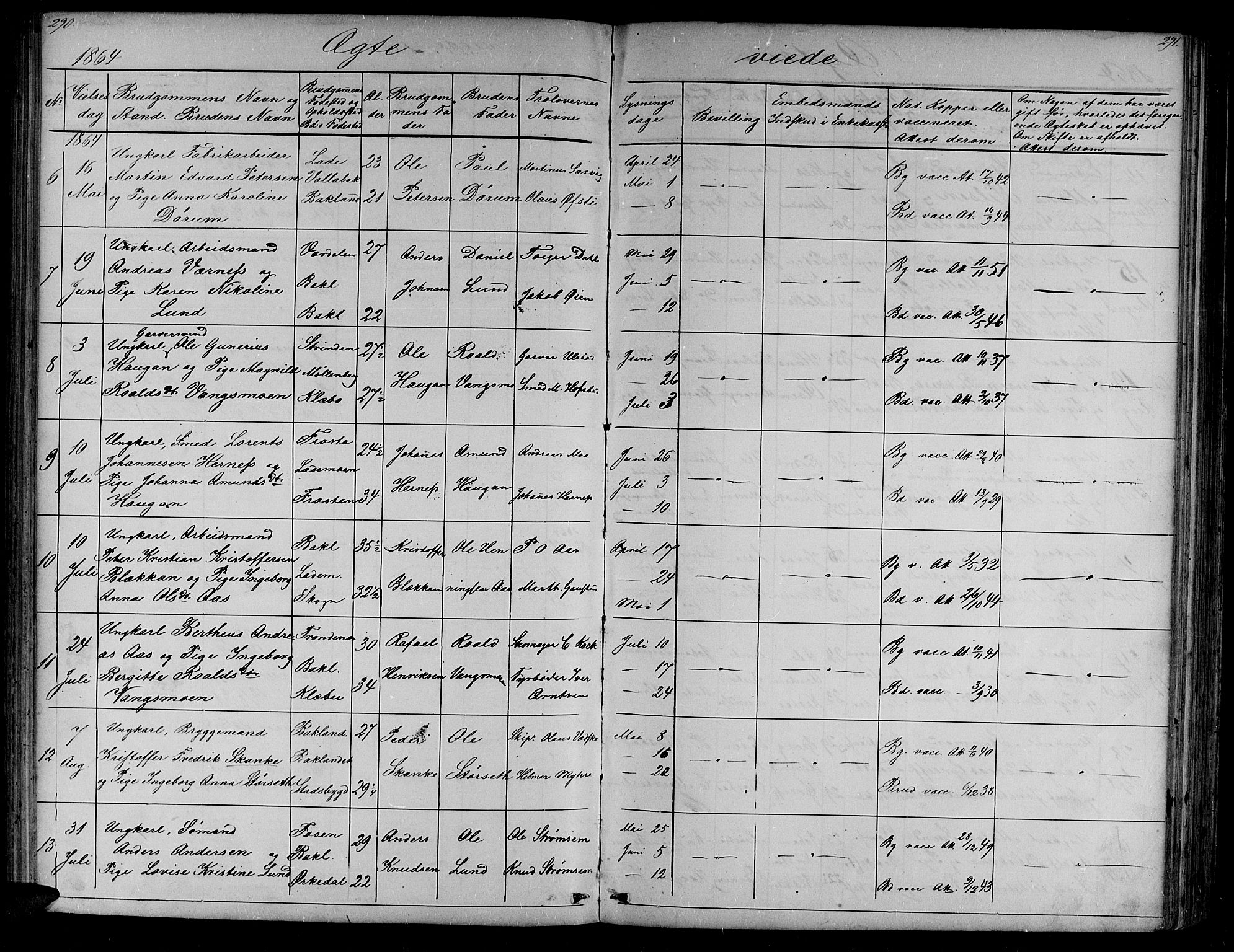 Ministerialprotokoller, klokkerbøker og fødselsregistre - Sør-Trøndelag, SAT/A-1456/604/L0219: Klokkerbok nr. 604C02, 1851-1869, s. 290-291