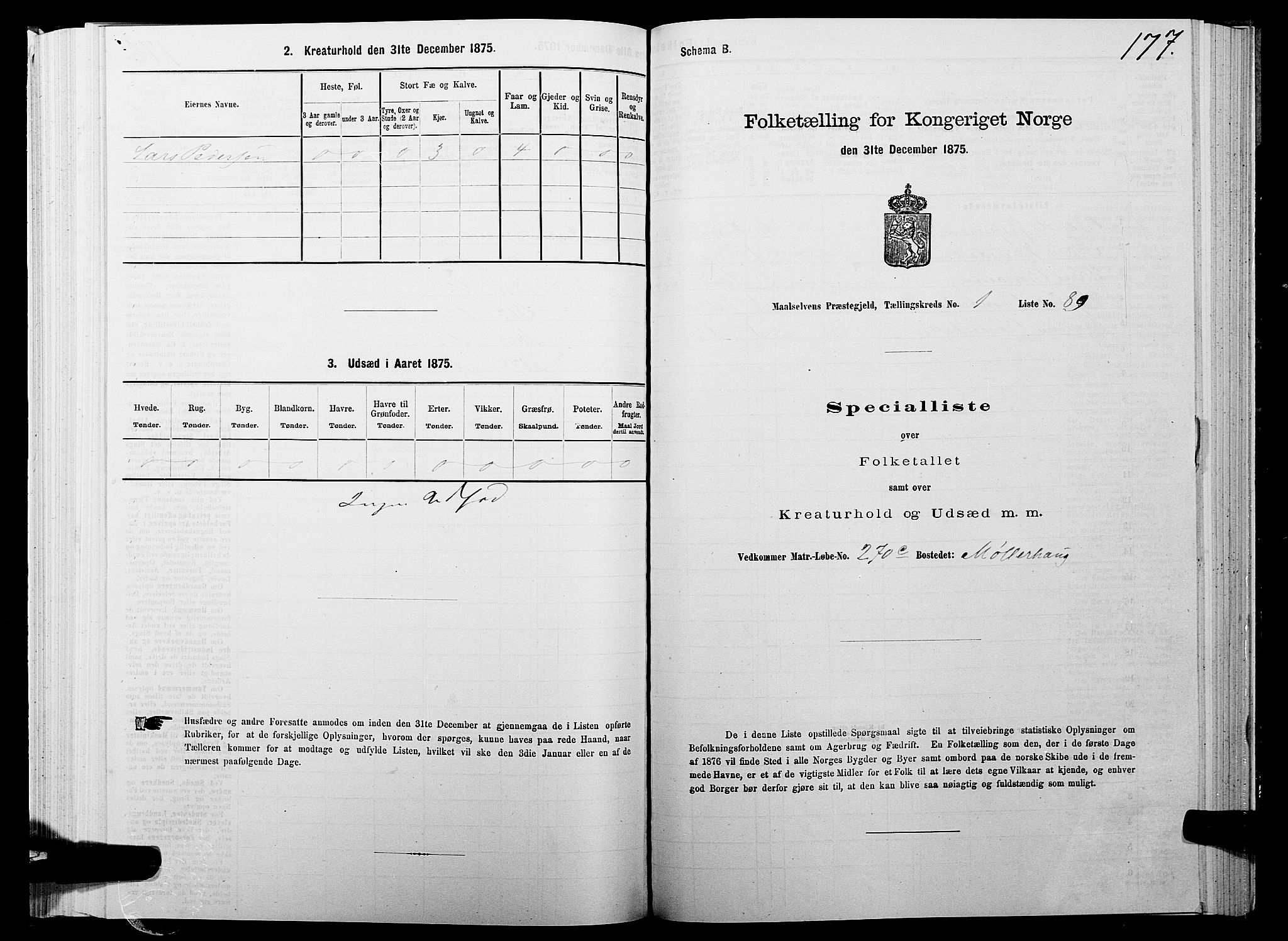 SATØ, Folketelling 1875 for 1924P Målselv prestegjeld, 1875, s. 1177