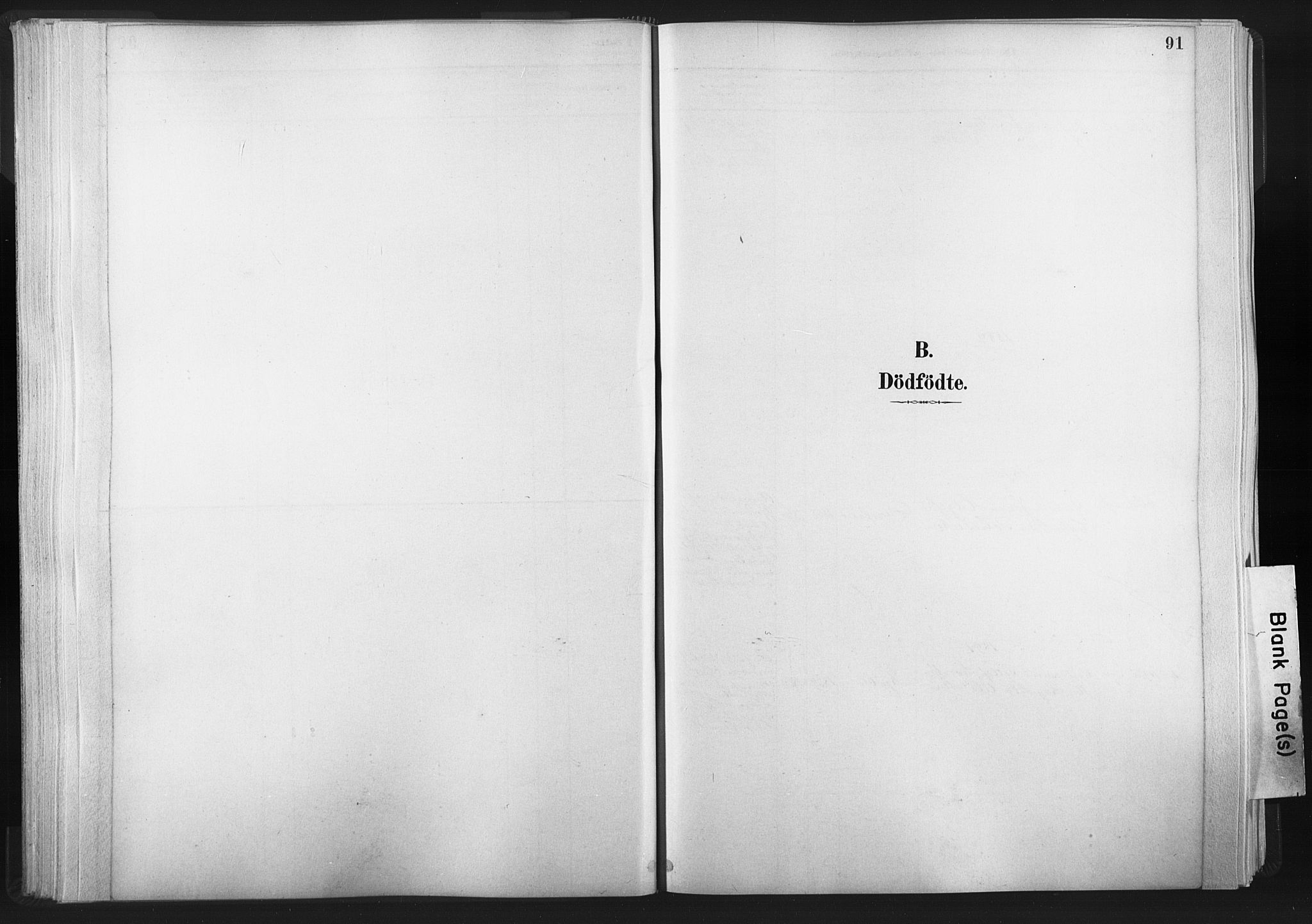Ministerialprotokoller, klokkerbøker og fødselsregistre - Nord-Trøndelag, AV/SAT-A-1458/749/L0474: Ministerialbok nr. 749A08, 1887-1903, s. 91