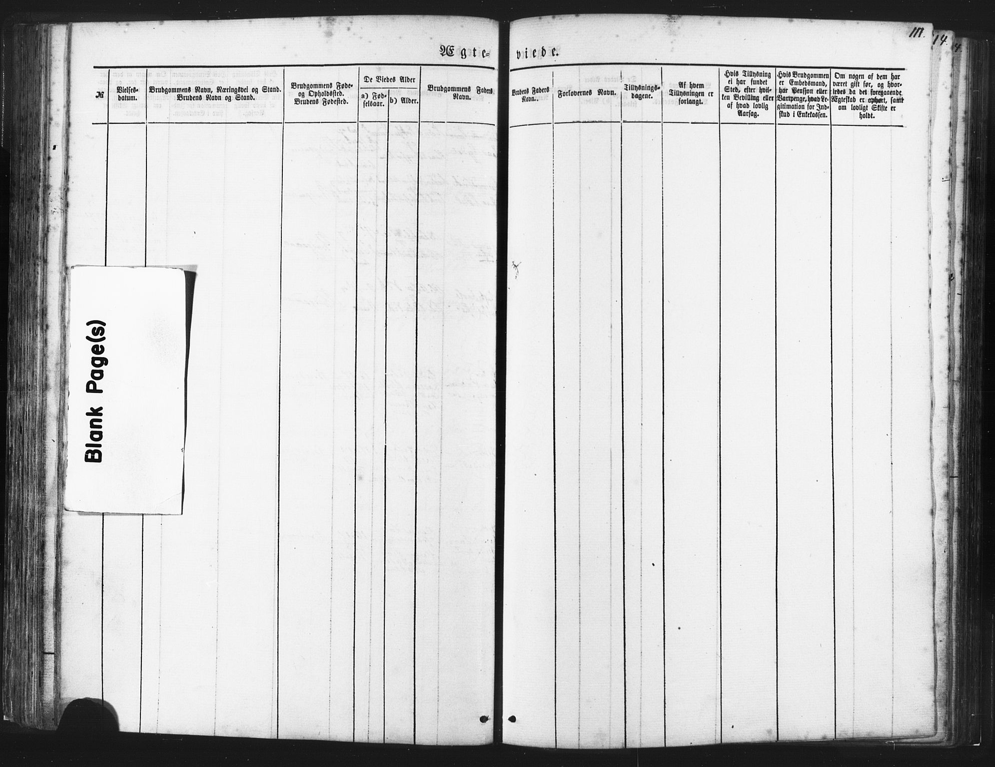 Ministerialprotokoller, klokkerbøker og fødselsregistre - Møre og Romsdal, AV/SAT-A-1454/539/L0530: Ministerialbok nr. 539A03, 1872-1886, s. 111