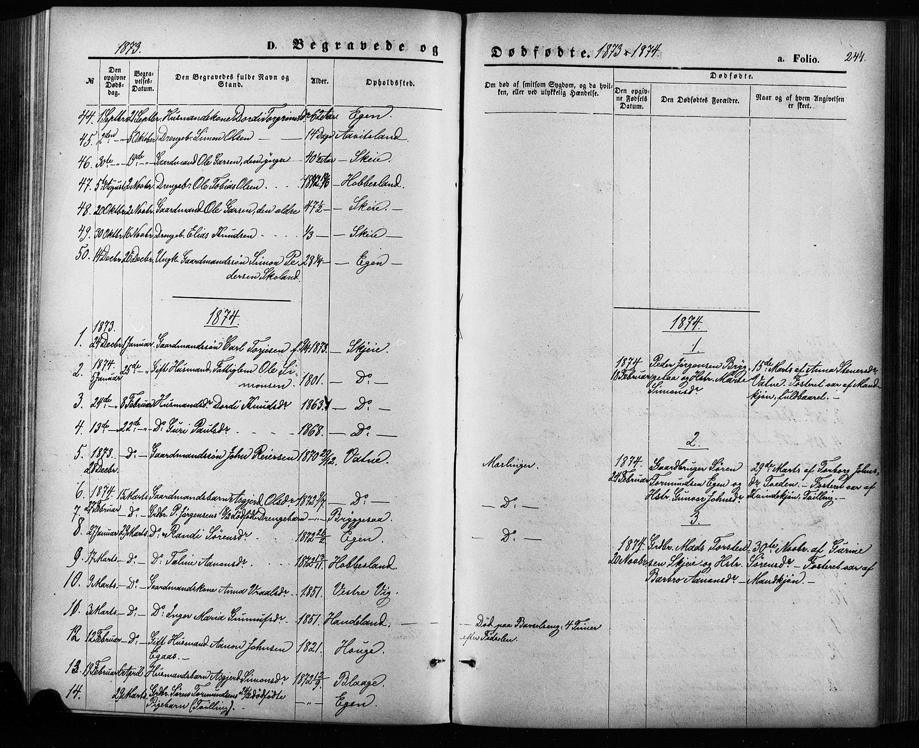 Hægebostad sokneprestkontor, SAK/1111-0024/F/Fa/Fab/L0003: Ministerialbok nr. A 3, 1872-1886, s. 244