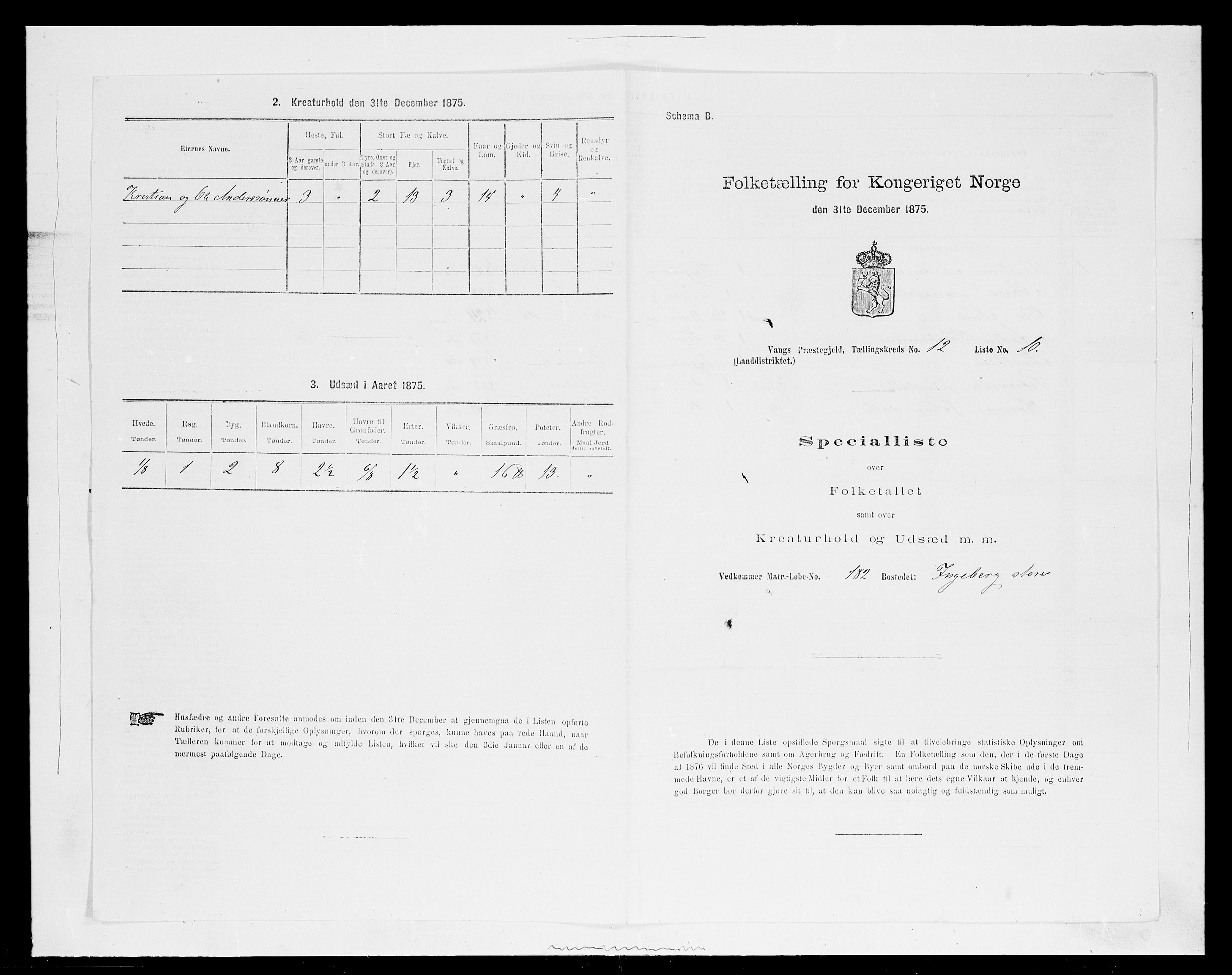 SAH, Folketelling 1875 for 0414L Vang prestegjeld, Vang sokn og Furnes sokn, 1875, s. 2642