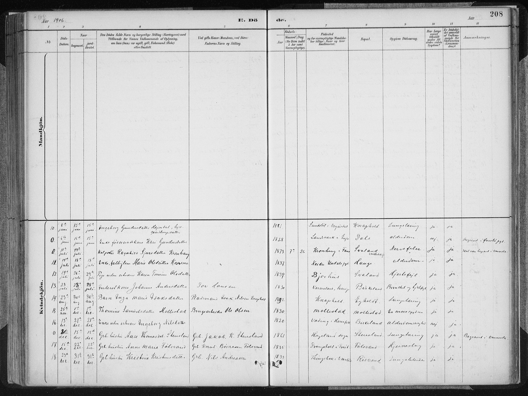 Birkenes sokneprestkontor, SAK/1111-0004/F/Fa/L0005: Ministerialbok nr. A 5, 1887-1907, s. 208