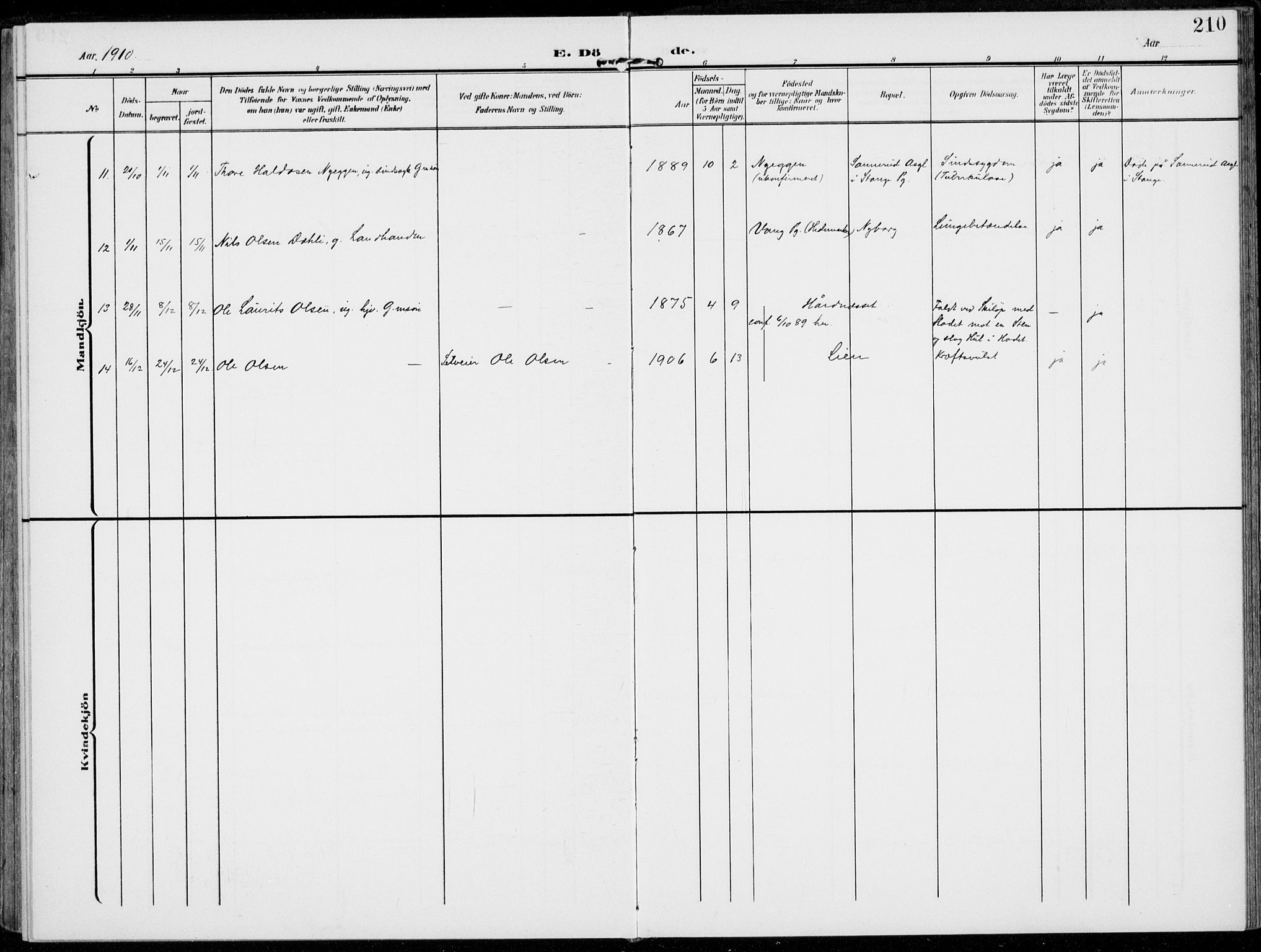 Alvdal prestekontor, SAH/PREST-060/H/Ha/Haa/L0004: Ministerialbok nr. 4, 1907-1919, s. 210