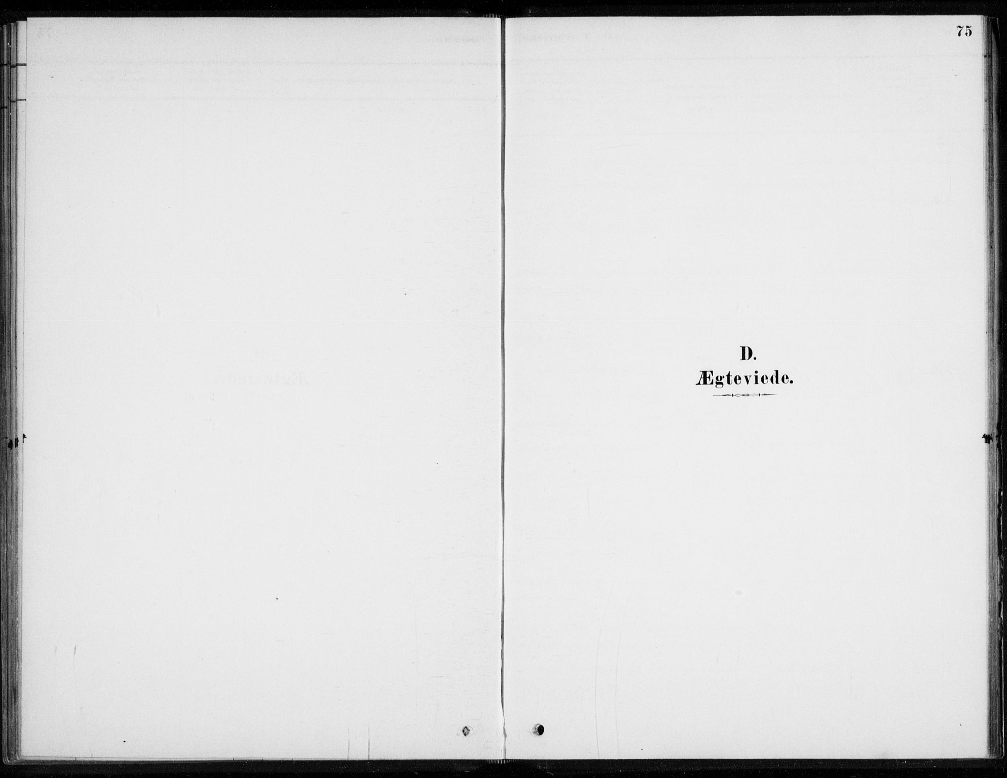 Åssiden kirkebøker, AV/SAKO-A-251/F/Fa/L0001: Ministerialbok nr. 1, 1878-1904, s. 75