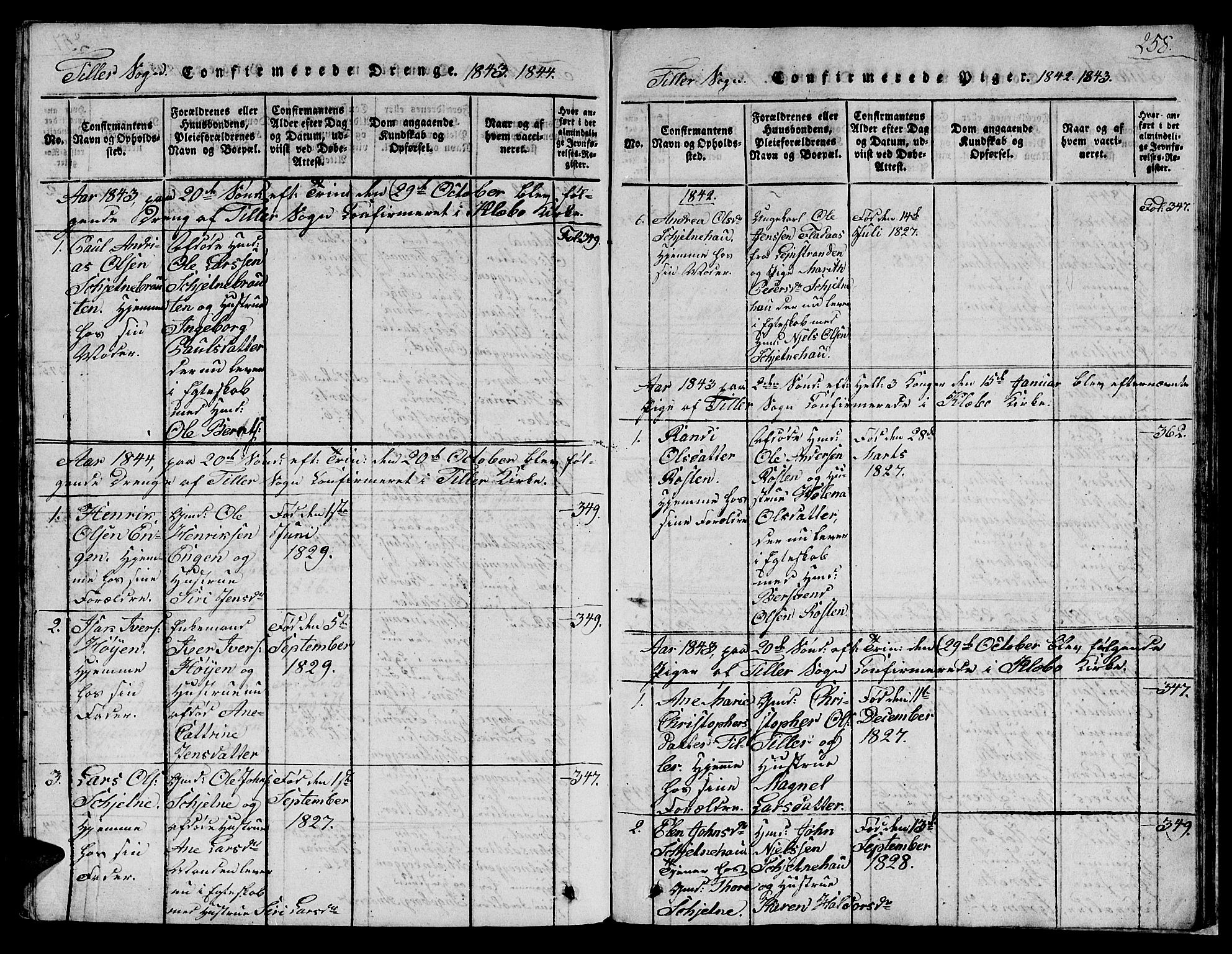Ministerialprotokoller, klokkerbøker og fødselsregistre - Sør-Trøndelag, AV/SAT-A-1456/621/L0458: Klokkerbok nr. 621C01, 1816-1865, s. 258