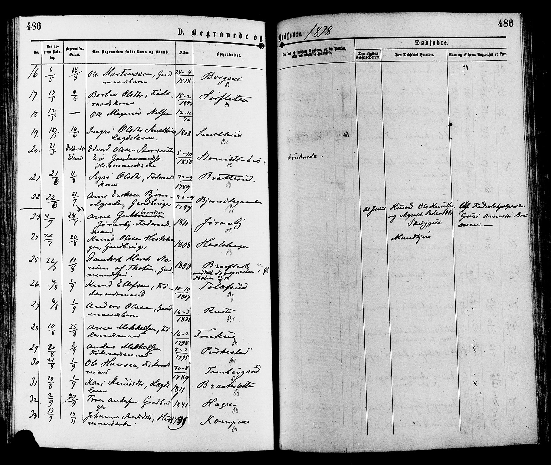 Sør-Aurdal prestekontor, AV/SAH-PREST-128/H/Ha/Haa/L0008: Ministerialbok nr. 8, 1877-1885, s. 486