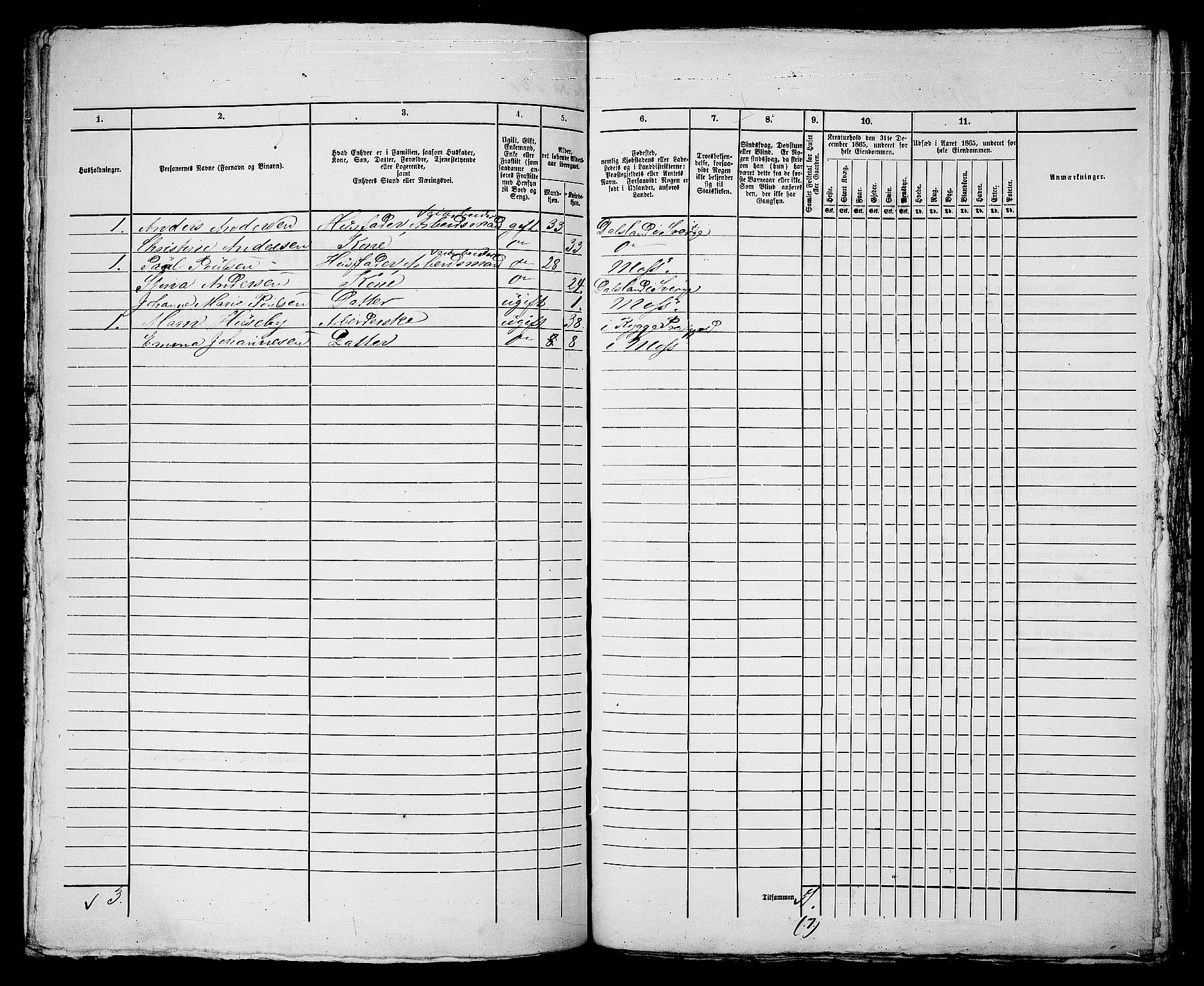 RA, Folketelling 1865 for 0104B Moss prestegjeld, Moss kjøpstad, 1865, s. 295