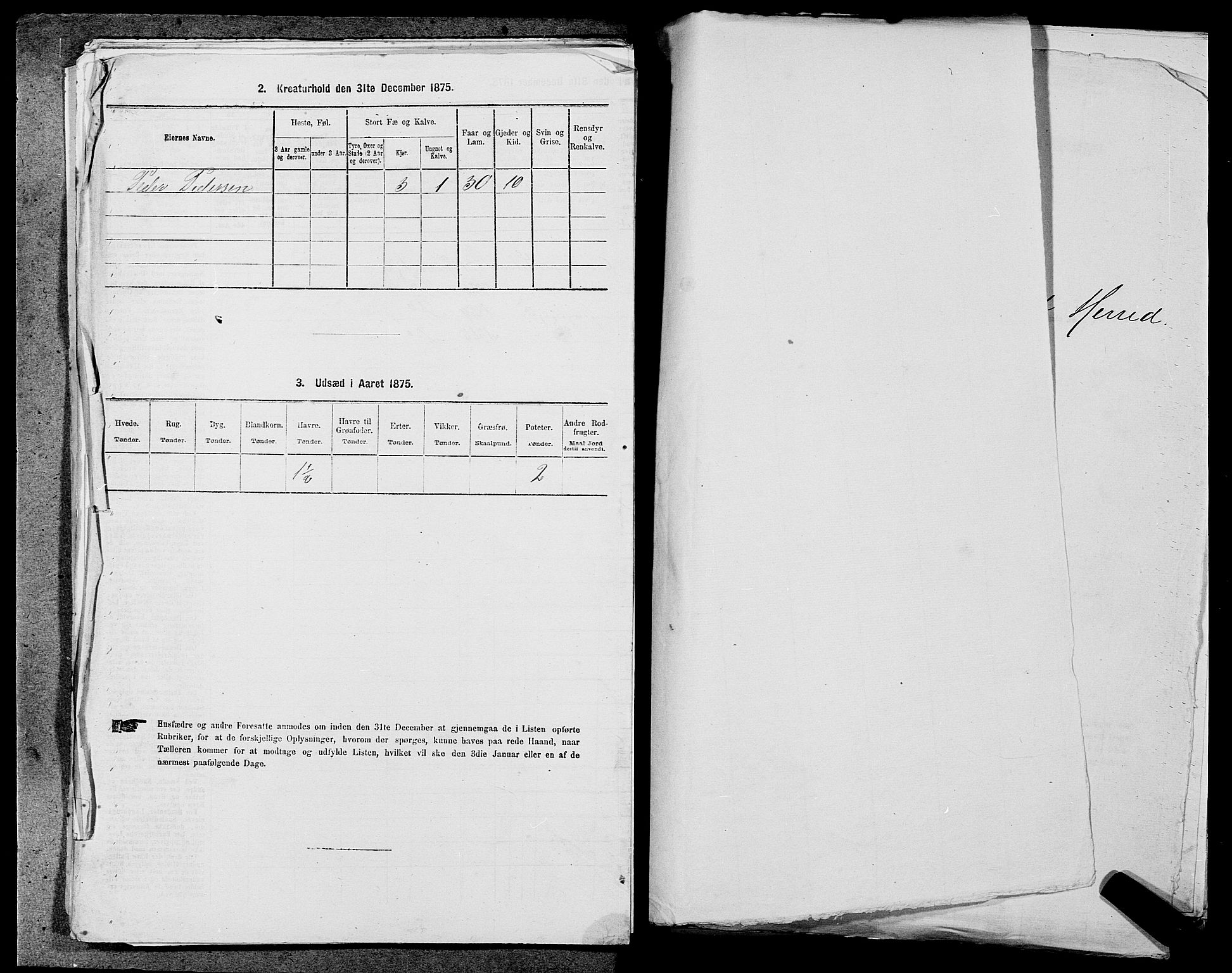 SAST, Folketelling 1875 for 1133P Hjelmeland prestegjeld, 1875, s. 317