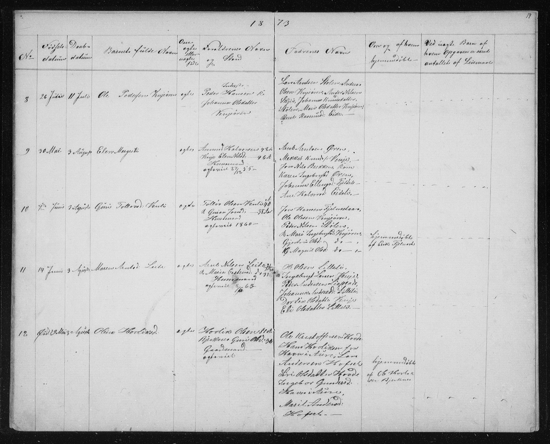 Ministerialprotokoller, klokkerbøker og fødselsregistre - Sør-Trøndelag, SAT/A-1456/631/L0513: Klokkerbok nr. 631C01, 1869-1879, s. 17