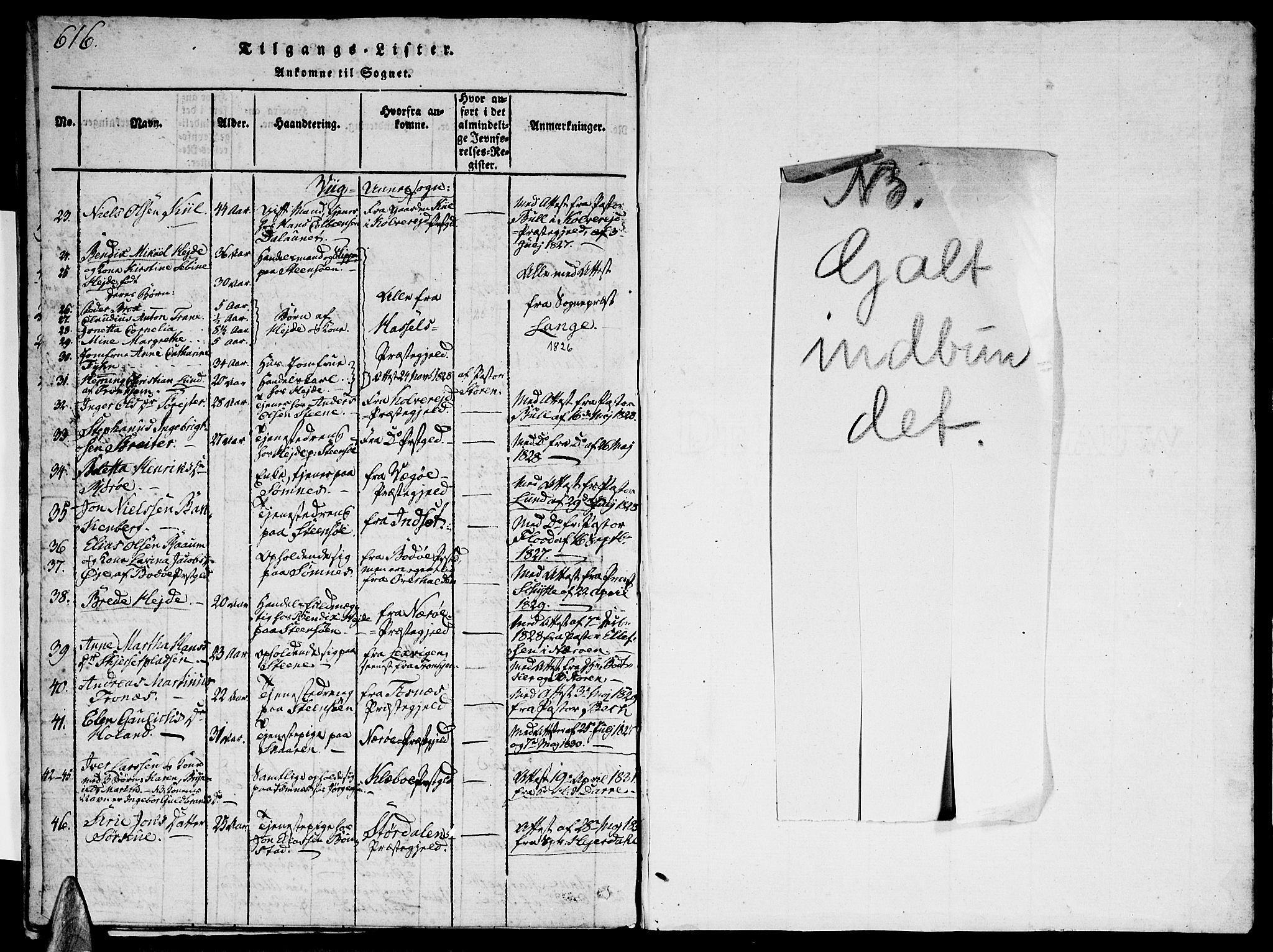 Ministerialprotokoller, klokkerbøker og fødselsregistre - Nordland, AV/SAT-A-1459/812/L0175: Ministerialbok nr. 812A04, 1820-1833, s. 616-617
