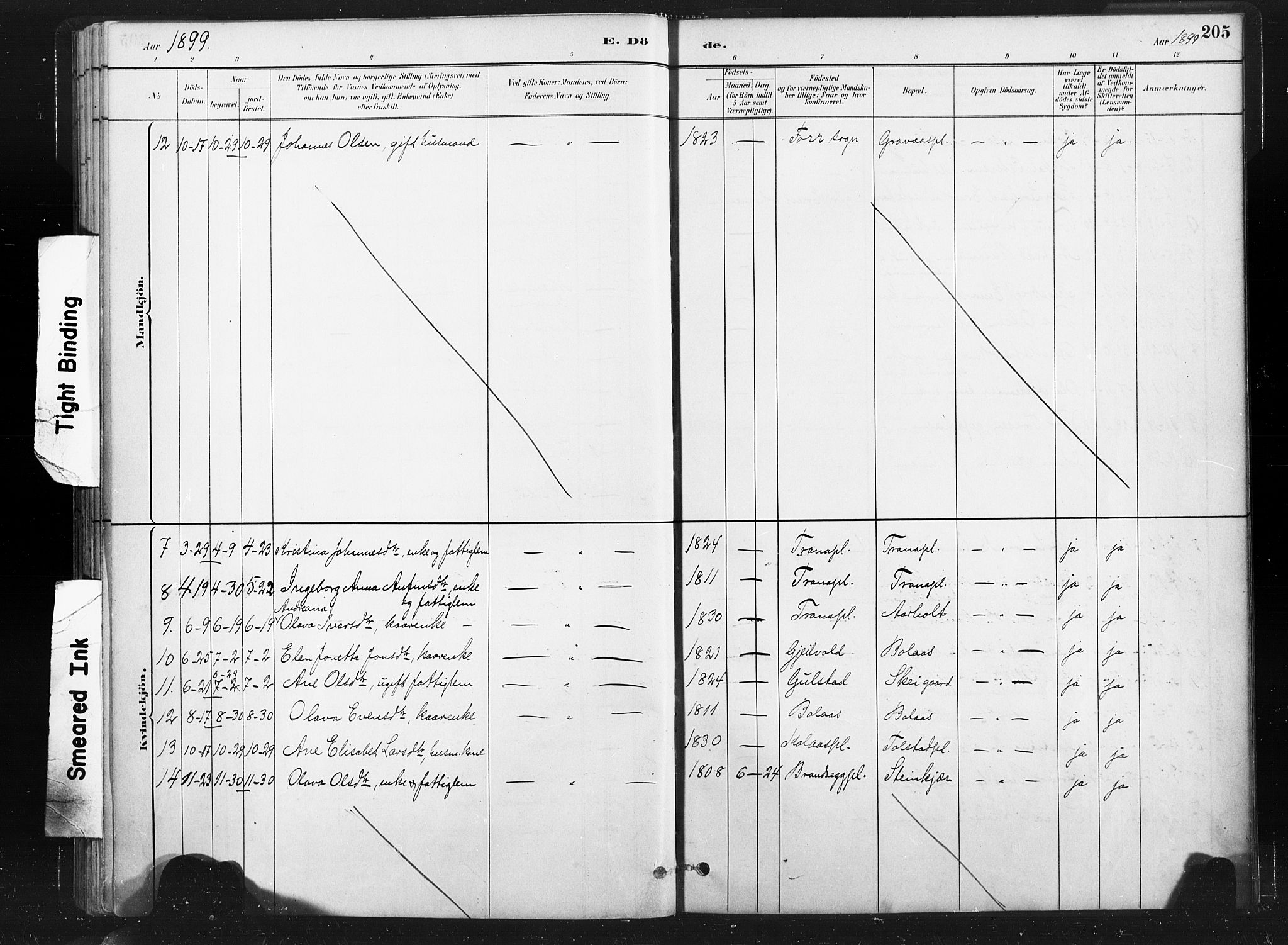 Ministerialprotokoller, klokkerbøker og fødselsregistre - Nord-Trøndelag, SAT/A-1458/736/L0361: Ministerialbok nr. 736A01, 1884-1906, s. 205
