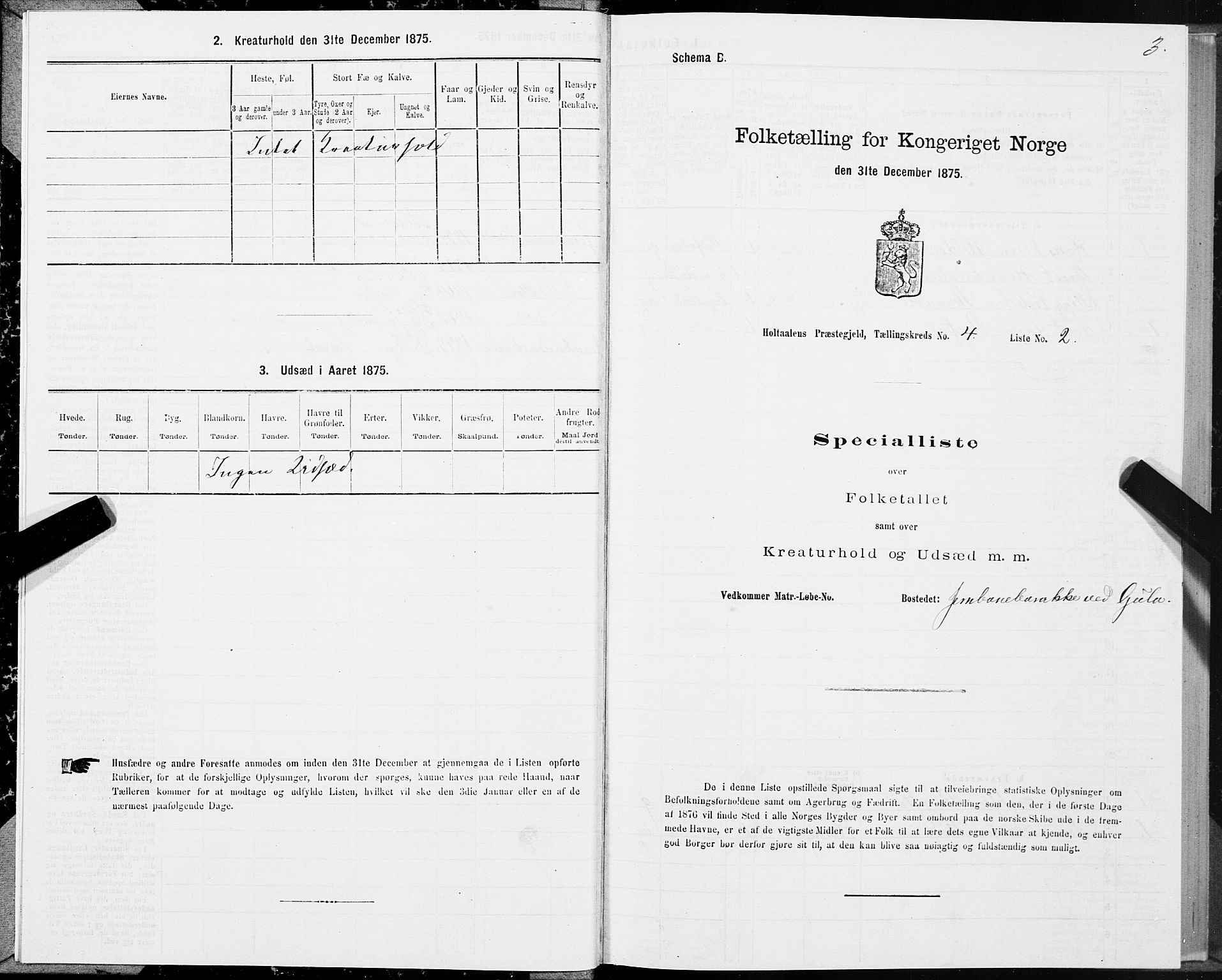 SAT, Folketelling 1875 for 1645P Haltdalen prestegjeld, 1875, s. 5003