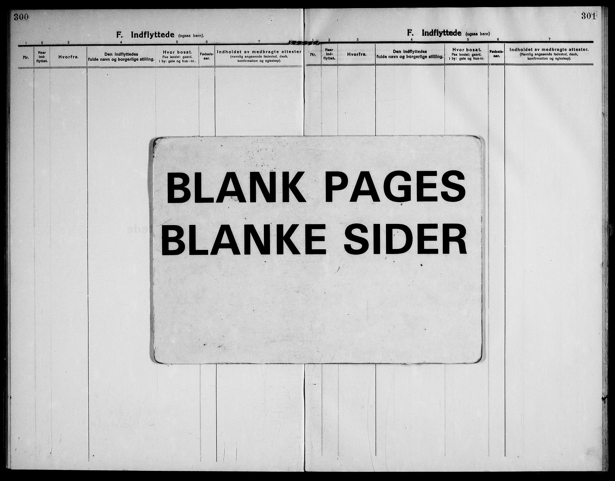 Skoger kirkebøker, AV/SAKO-A-59/F/Fb/L0002: Ministerialbok nr. II 2, 1914-1941, s. 300-301