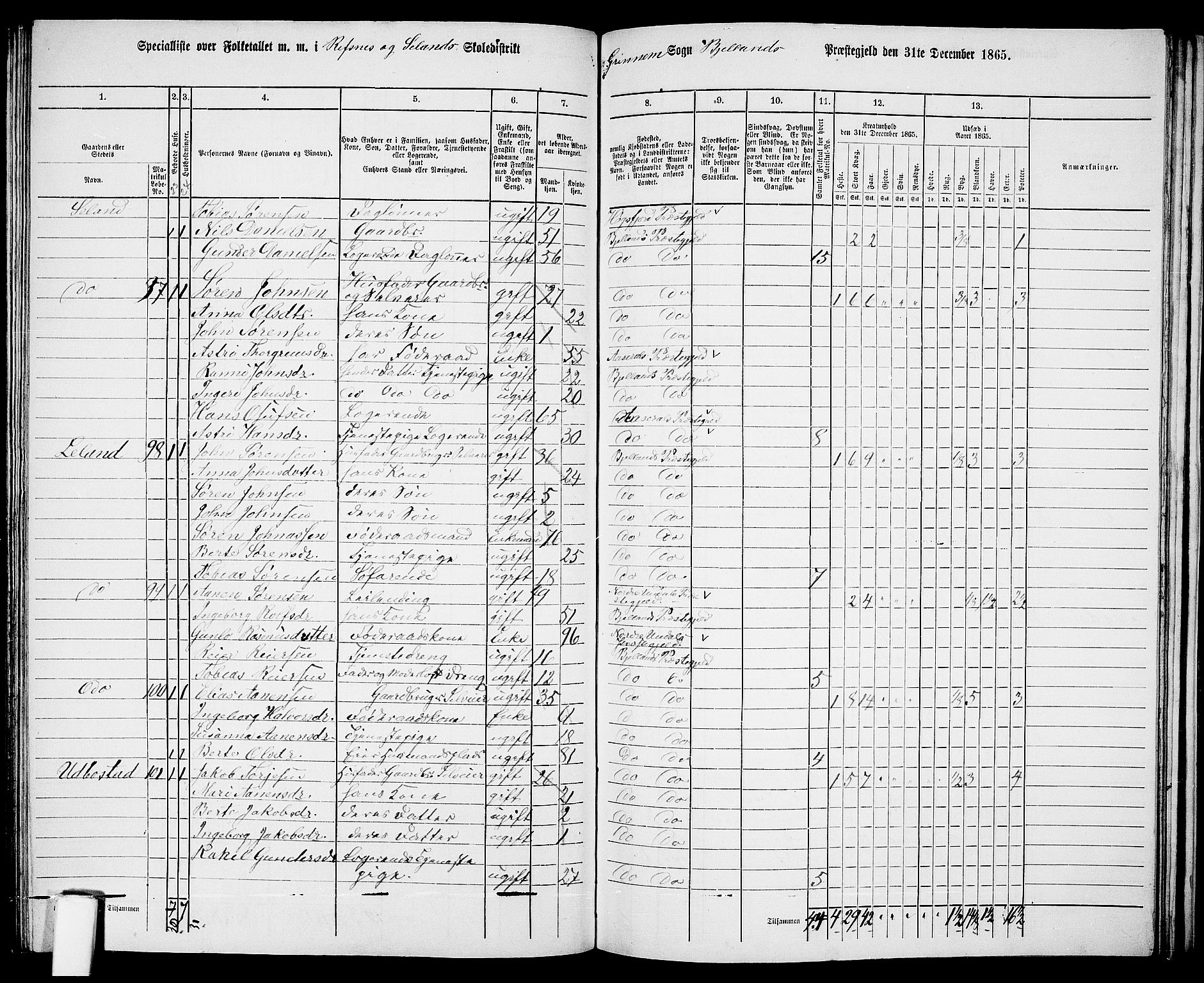 RA, Folketelling 1865 for 1024P Bjelland prestegjeld, 1865, s. 78