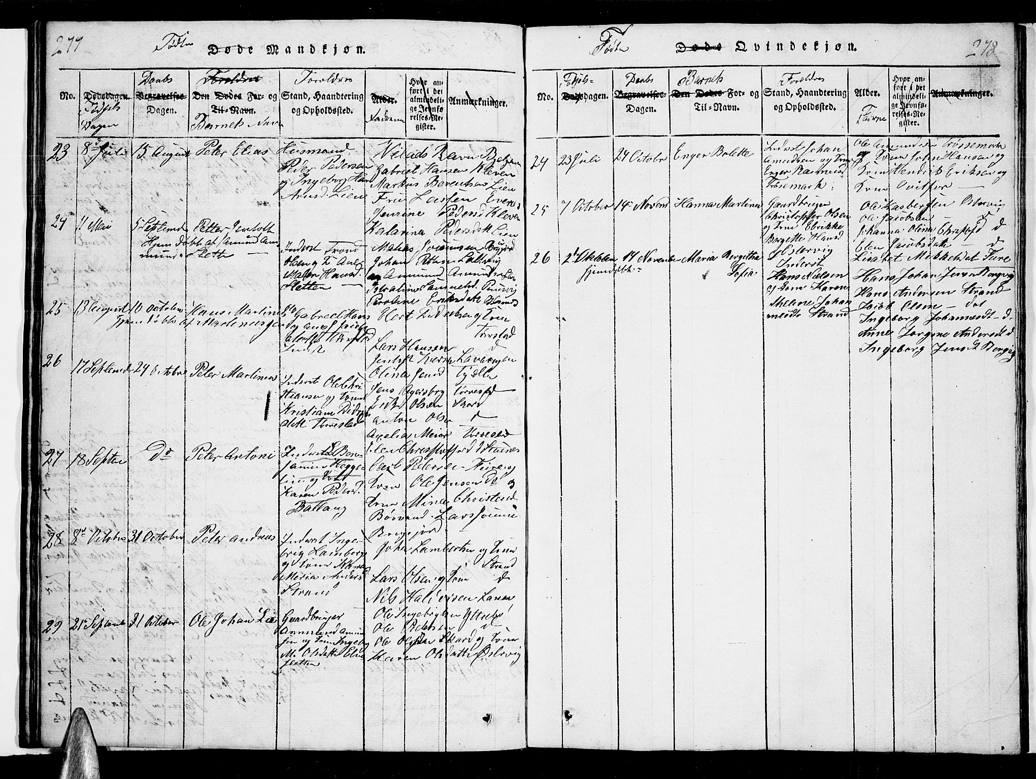 Ministerialprotokoller, klokkerbøker og fødselsregistre - Nordland, AV/SAT-A-1459/863/L0911: Klokkerbok nr. 863C01, 1821-1858, s. 247-248