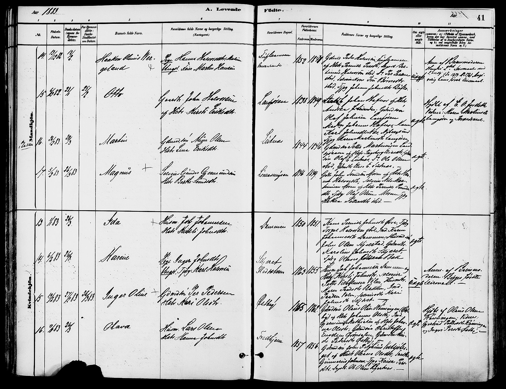 Trysil prestekontor, AV/SAH-PREST-046/H/Ha/Haa/L0008: Ministerialbok nr. 8, 1881-1897, s. 41