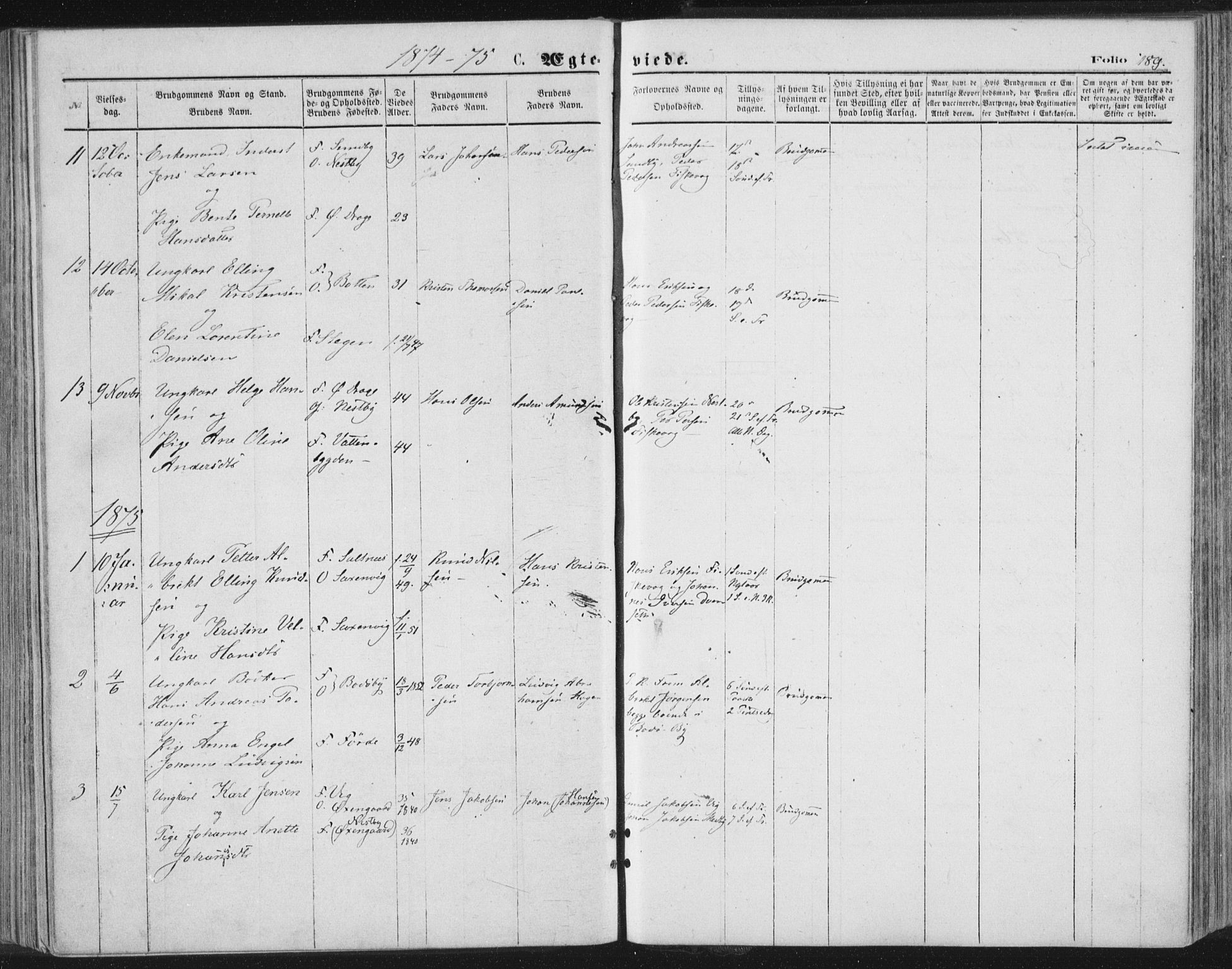 Ministerialprotokoller, klokkerbøker og fødselsregistre - Nordland, AV/SAT-A-1459/847/L0668: Ministerialbok nr. 847A08, 1872-1886, s. 189