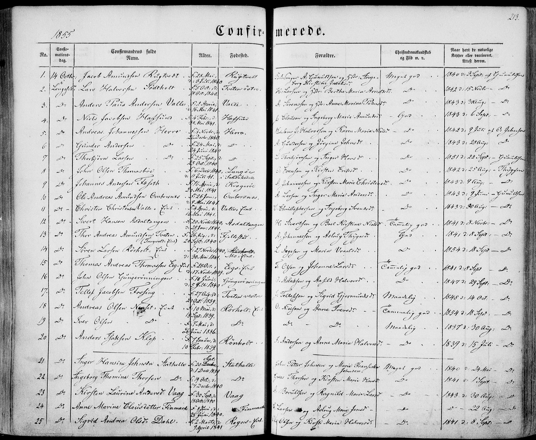 Bamble kirkebøker, AV/SAKO-A-253/F/Fa/L0005: Ministerialbok nr. I 5, 1854-1869, s. 213