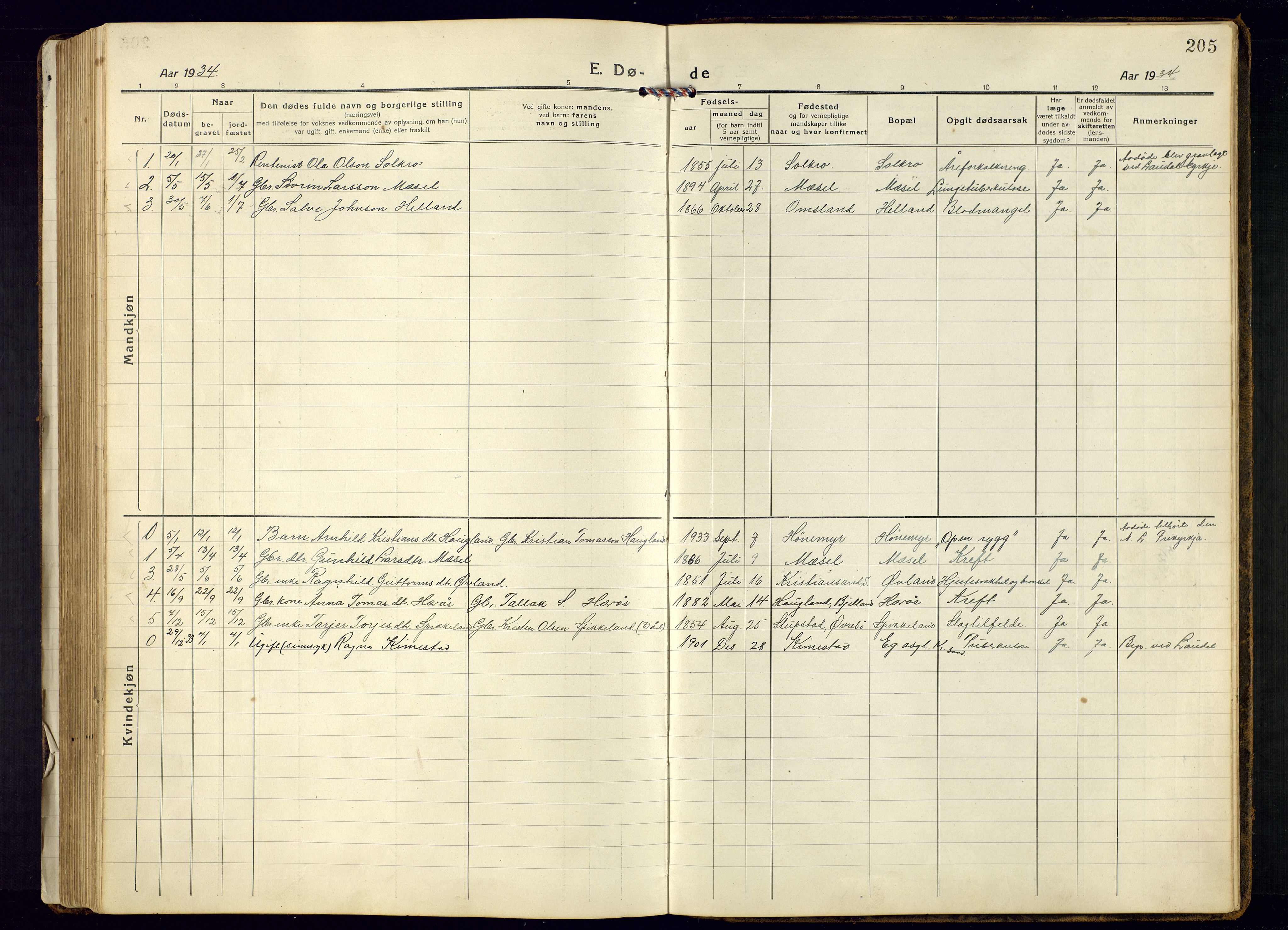 Bjelland sokneprestkontor, AV/SAK-1111-0005/F/Fb/Fbb/L0006: Klokkerbok nr. B-6, 1918-1946, s. 205