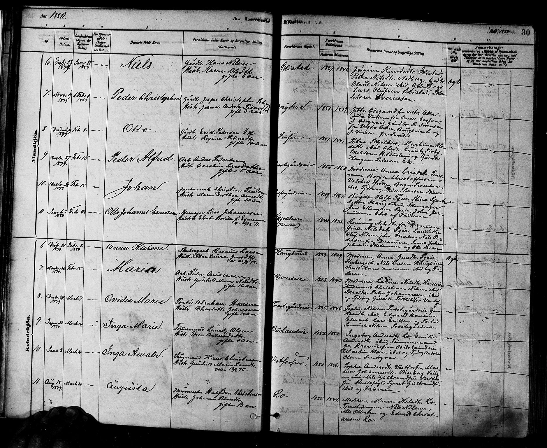 Eiker kirkebøker, AV/SAKO-A-4/F/Fb/L0001: Ministerialbok nr. II 1, 1878-1888, s. 30