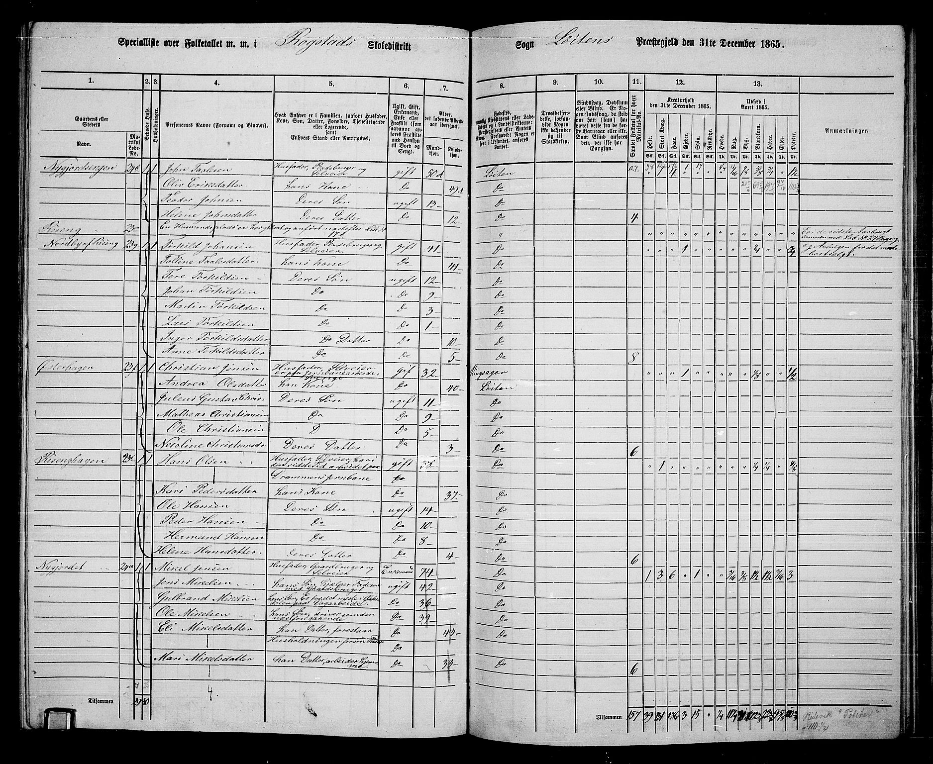 RA, Folketelling 1865 for 0415P Løten prestegjeld, 1865, s. 150