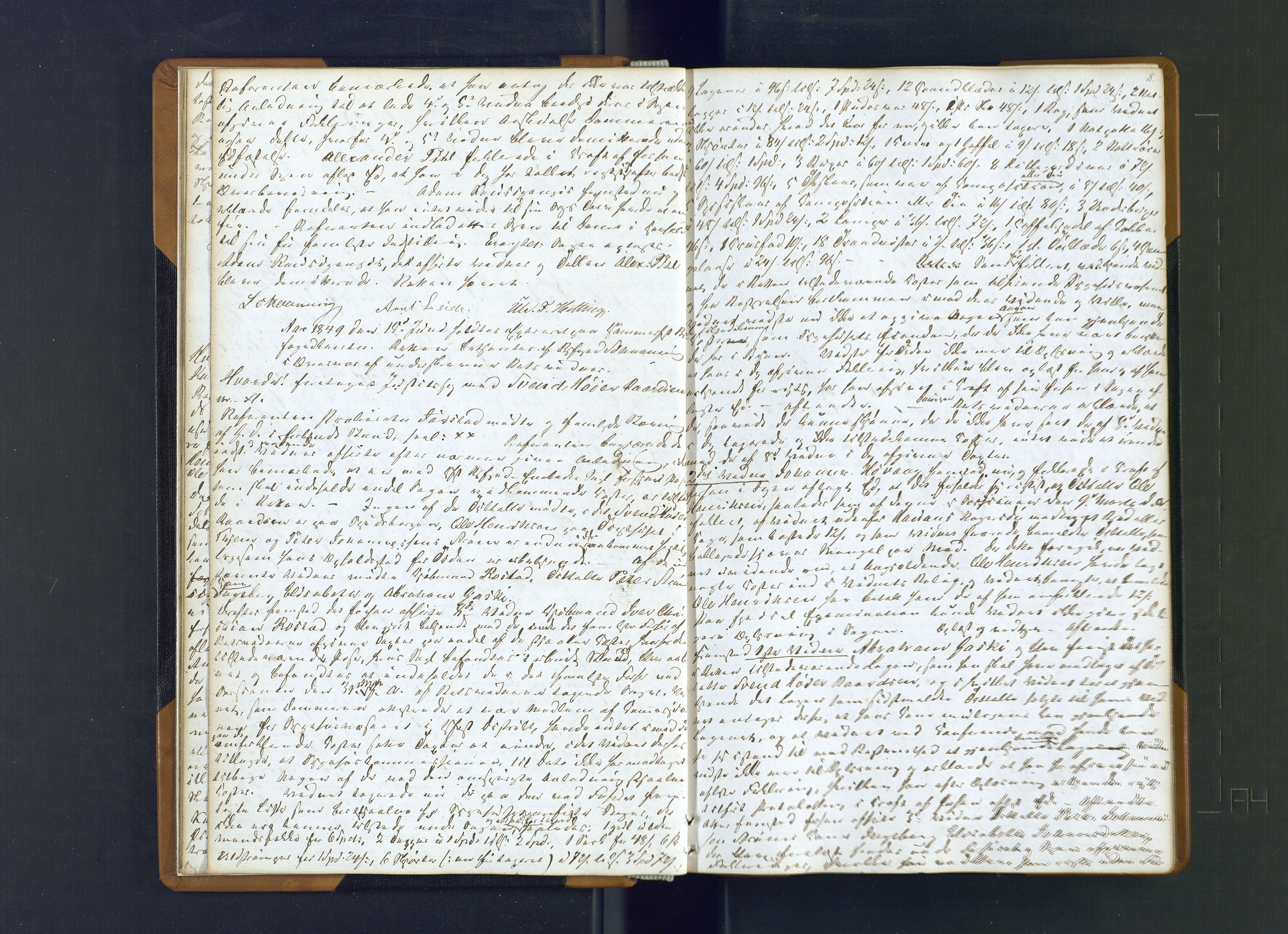 Hammerfest fogderi/sorenskriveri, AV/SATØ-S-0056/1/J/Ja/Jab/L0184: Ekstrarettsprotokoller, 1849-1850, s. 8