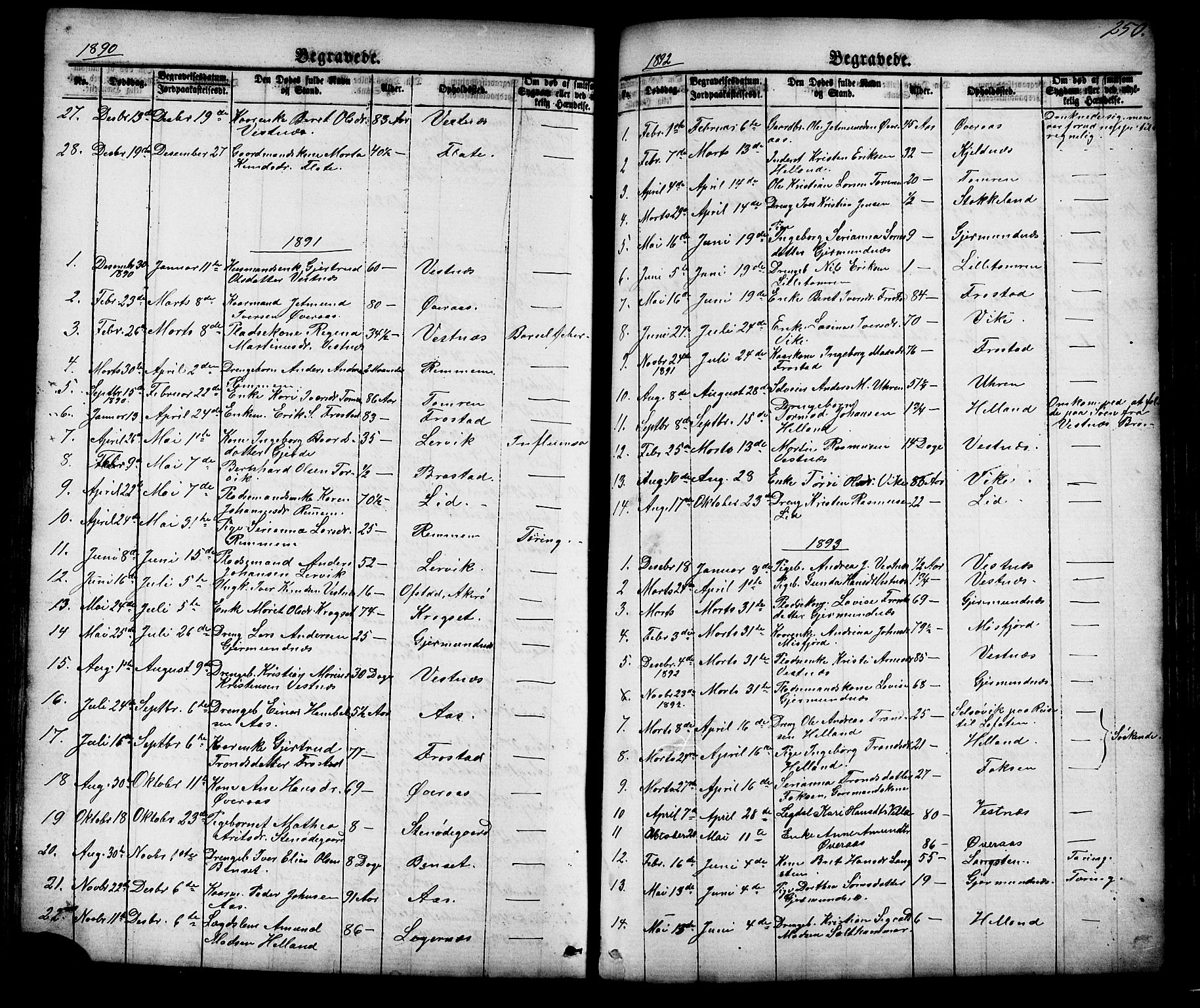 Ministerialprotokoller, klokkerbøker og fødselsregistre - Møre og Romsdal, AV/SAT-A-1454/539/L0536: Klokkerbok nr. 539C02, 1867-1913, s. 250