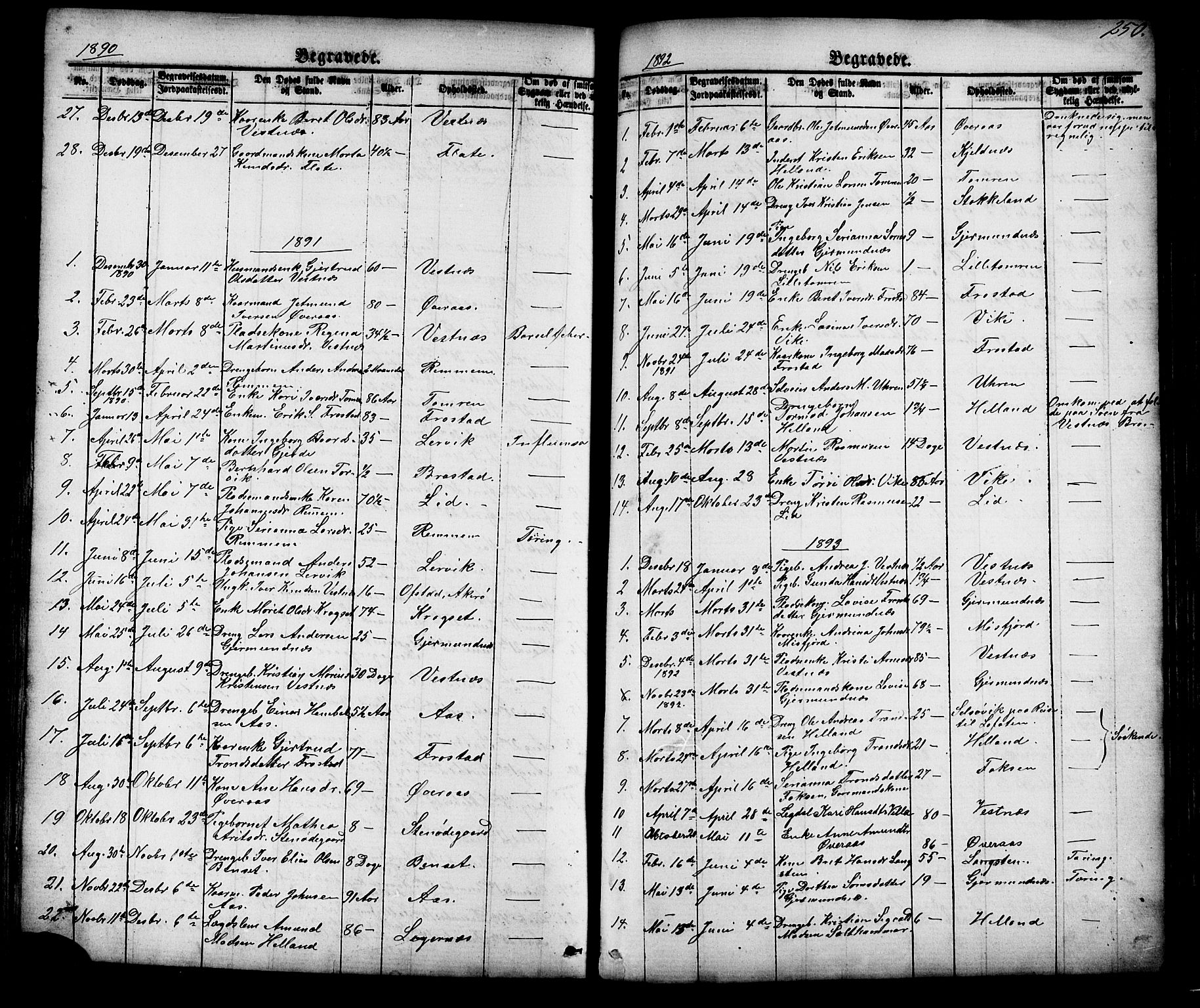 Ministerialprotokoller, klokkerbøker og fødselsregistre - Møre og Romsdal, SAT/A-1454/539/L0536: Klokkerbok nr. 539C02, 1867-1913, s. 250