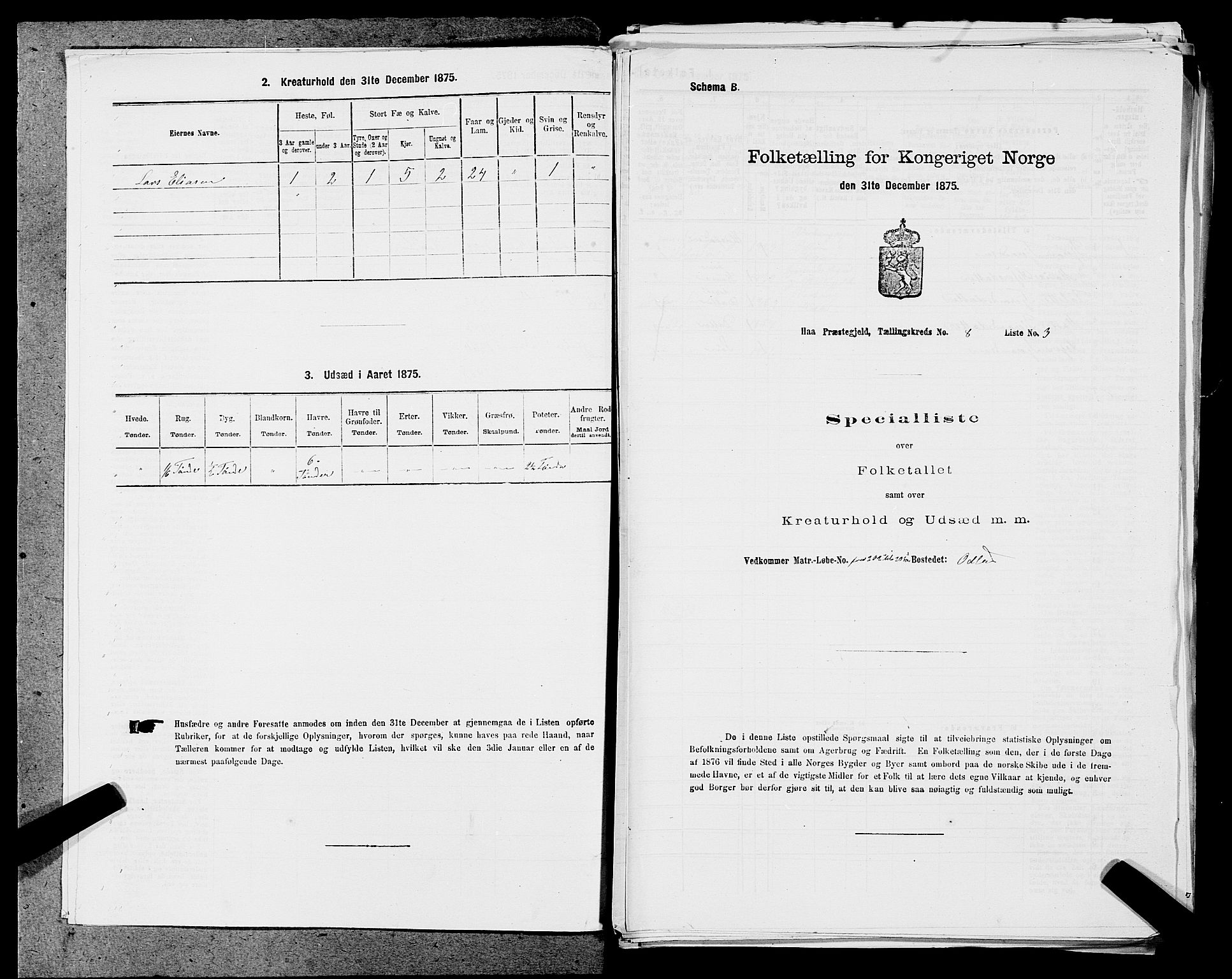 SAST, Folketelling 1875 for 1119P Hå prestegjeld, 1875, s. 823