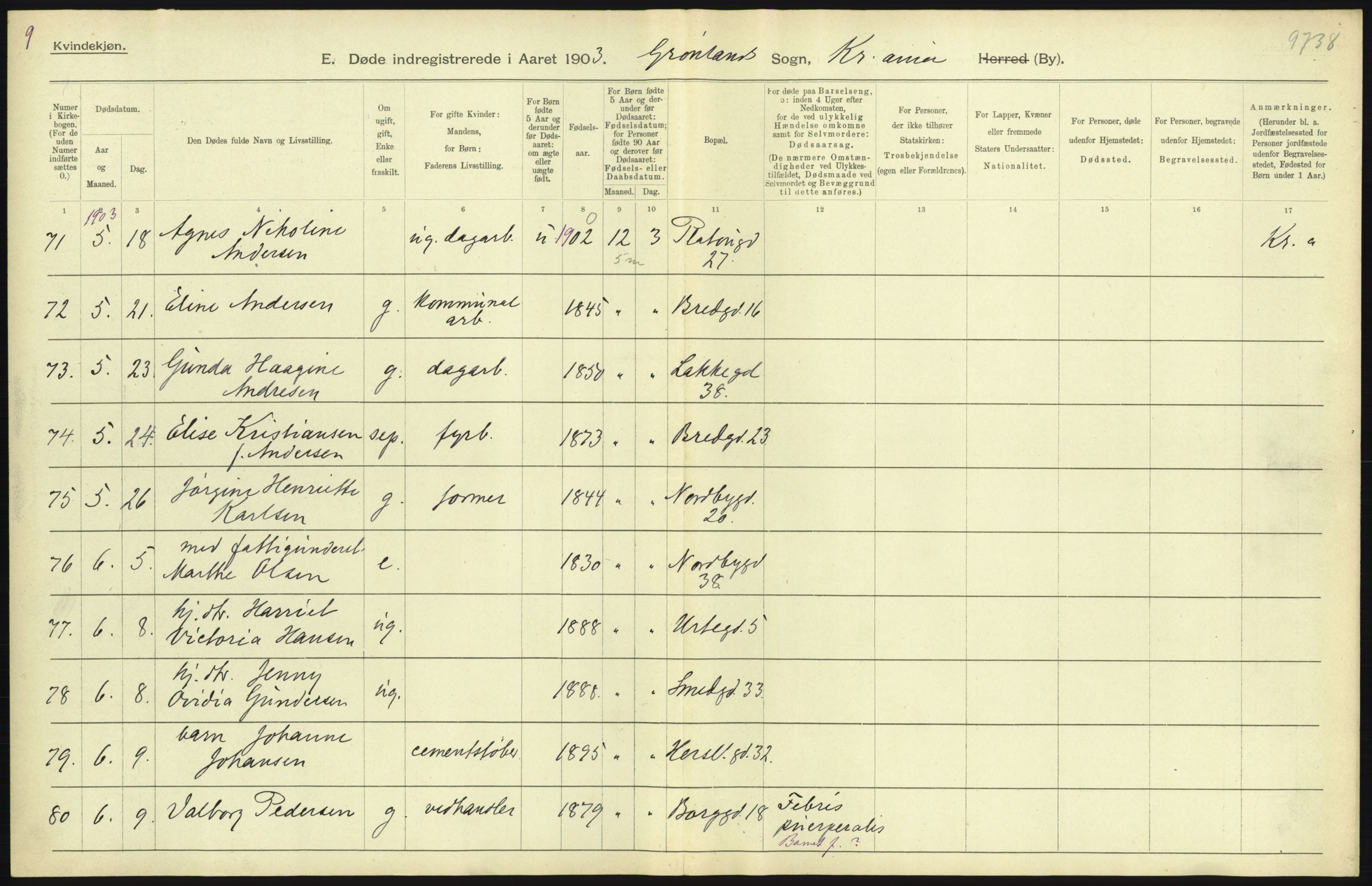 Statistisk sentralbyrå, Sosiodemografiske emner, Befolkning, AV/RA-S-2228/D/Df/Dfa/Dfaa/L0004: Kristiania: Gifte, døde, 1903, s. 391