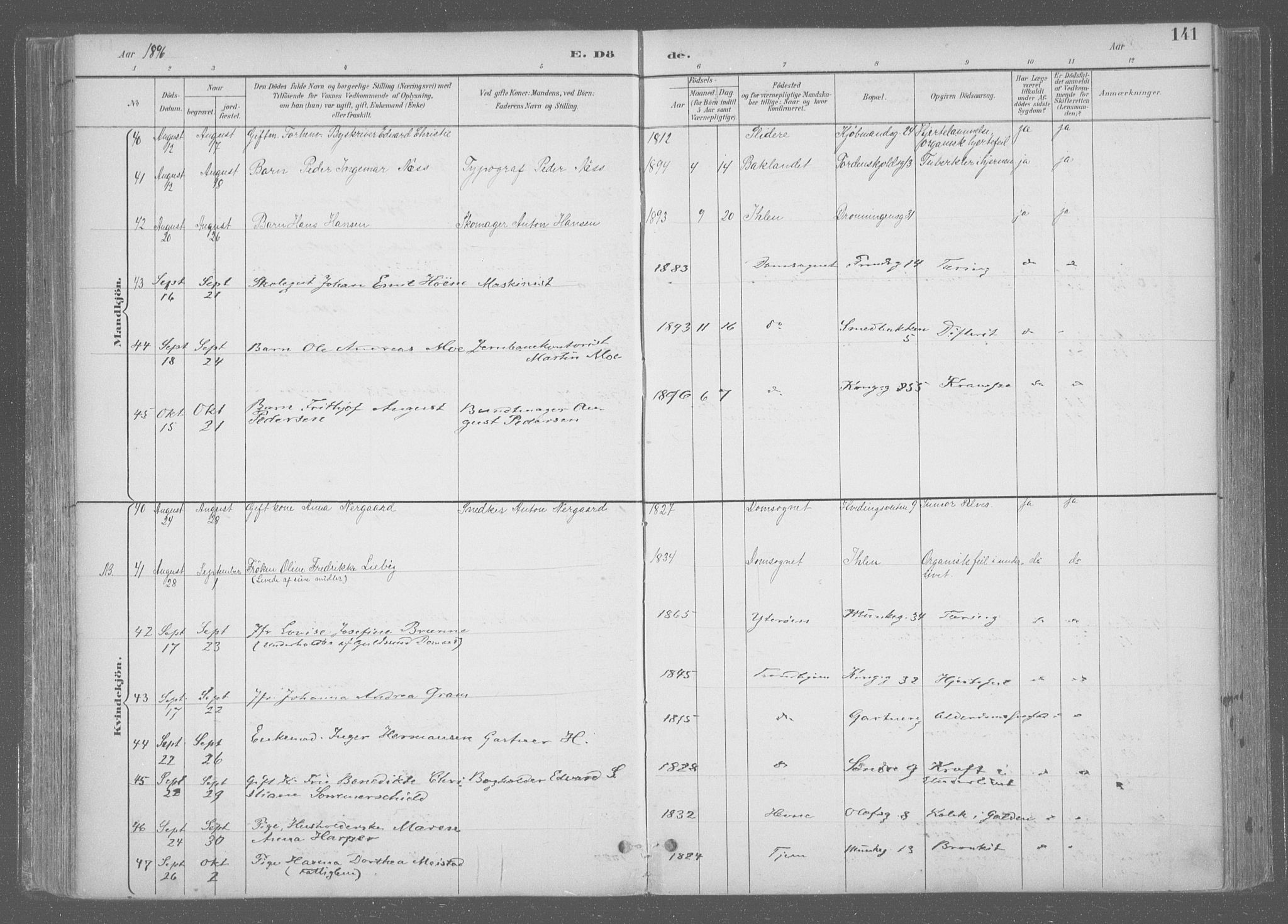 Ministerialprotokoller, klokkerbøker og fødselsregistre - Sør-Trøndelag, SAT/A-1456/601/L0064: Ministerialbok nr. 601A31, 1891-1911, s. 141