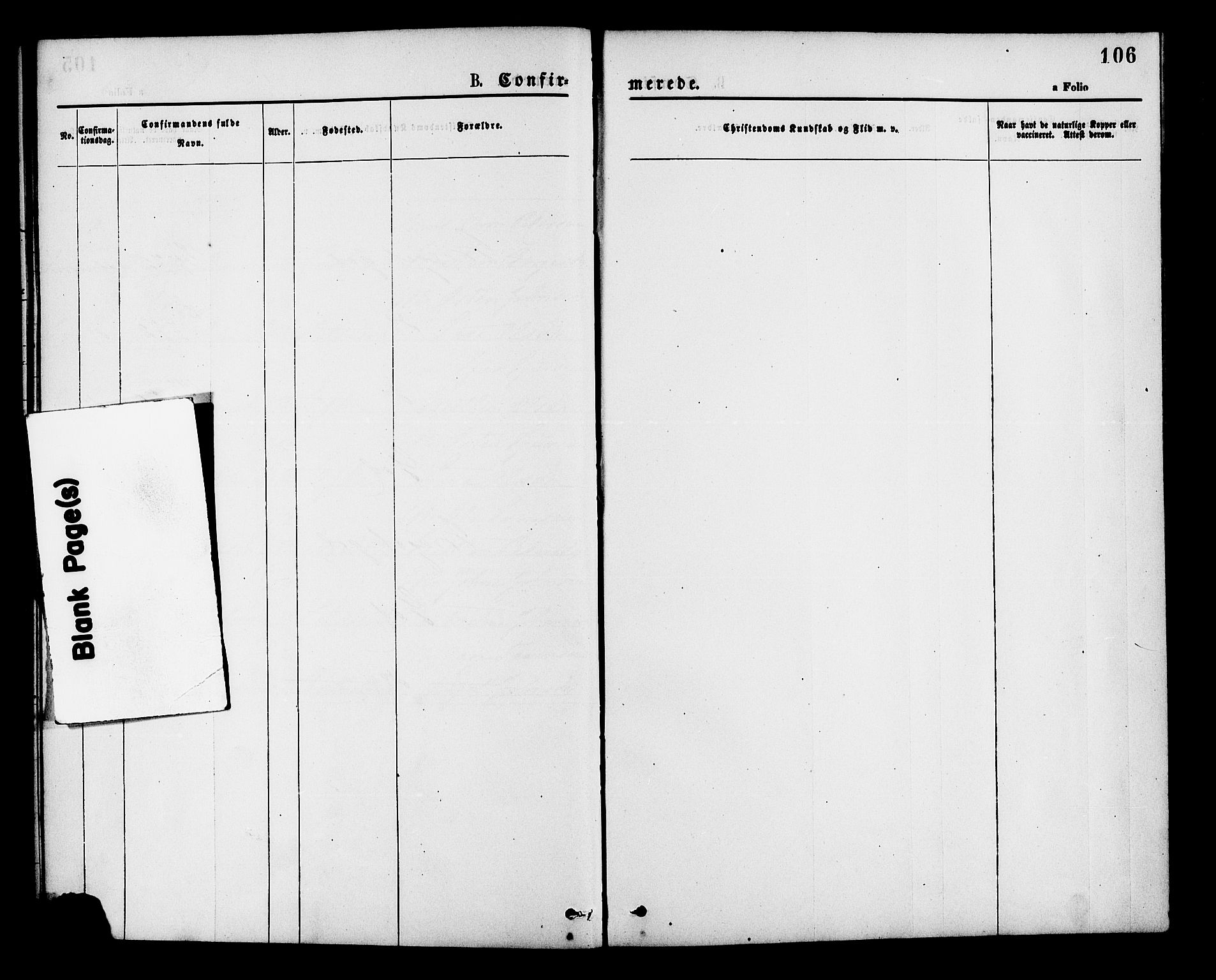 Hjelmeland sokneprestkontor, SAST/A-101843/01/IV/L0013: Ministerialbok nr. A 13, 1872-1886, s. 106