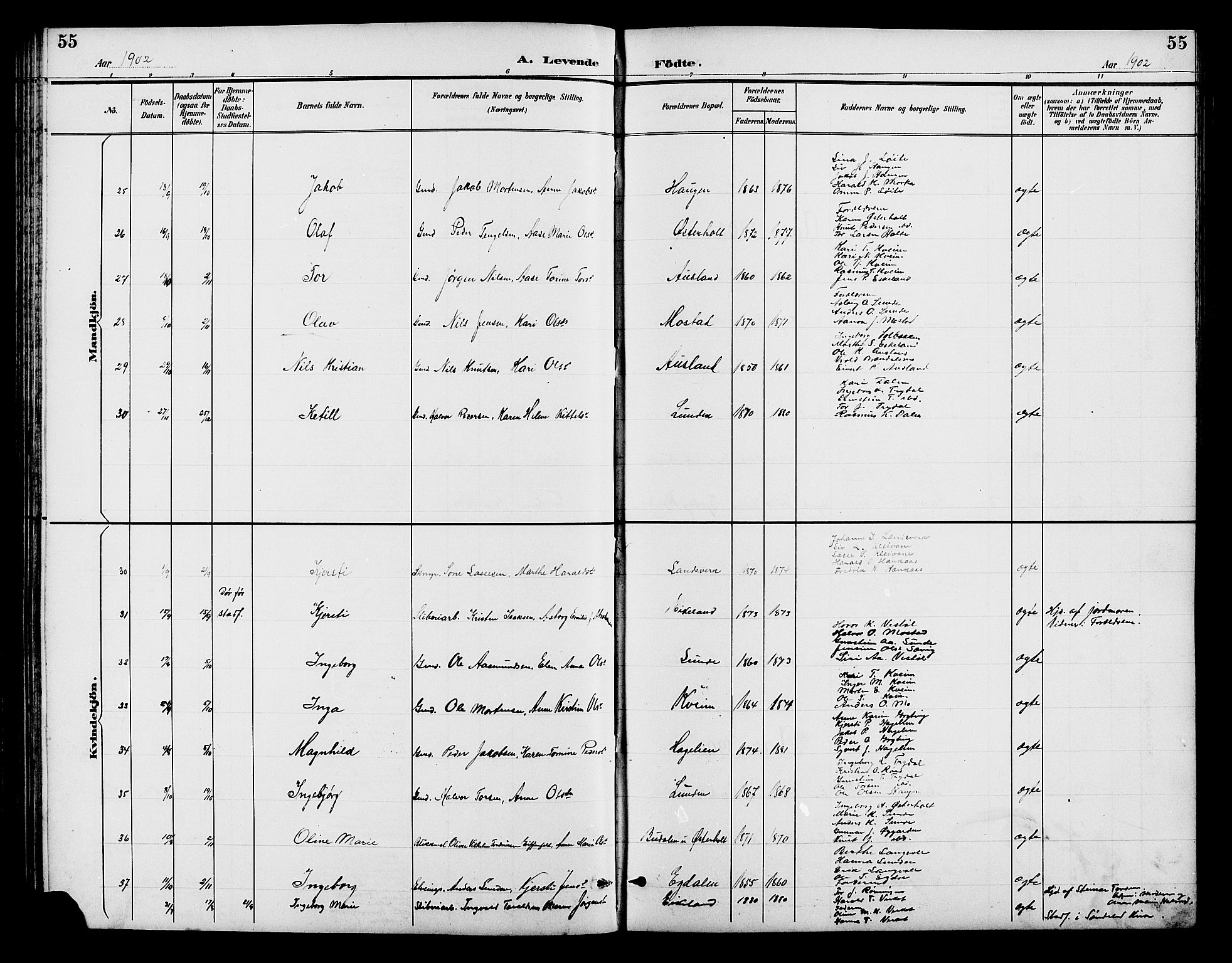 Gjerstad sokneprestkontor, AV/SAK-1111-0014/F/Fb/Fba/L0007: Klokkerbok nr. B 7, 1891-1908, s. 55