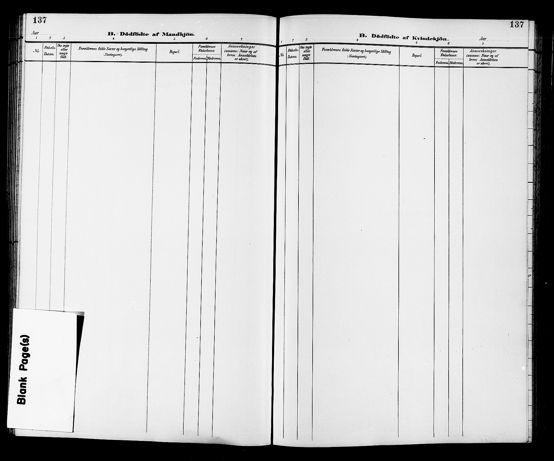 Fiskum kirkebøker, SAKO/A-15/G/Ga/L0005: Klokkerbok nr. 5, 1887-1912, s. 137