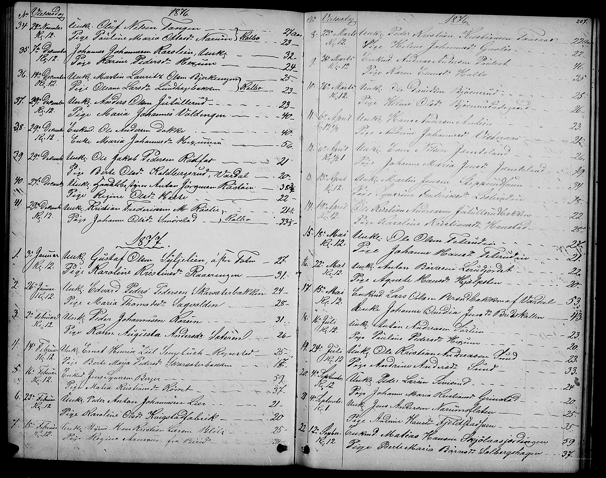 Vestre Toten prestekontor, AV/SAH-PREST-108/H/Ha/Hab/L0006: Klokkerbok nr. 6, 1870-1887, s. 207