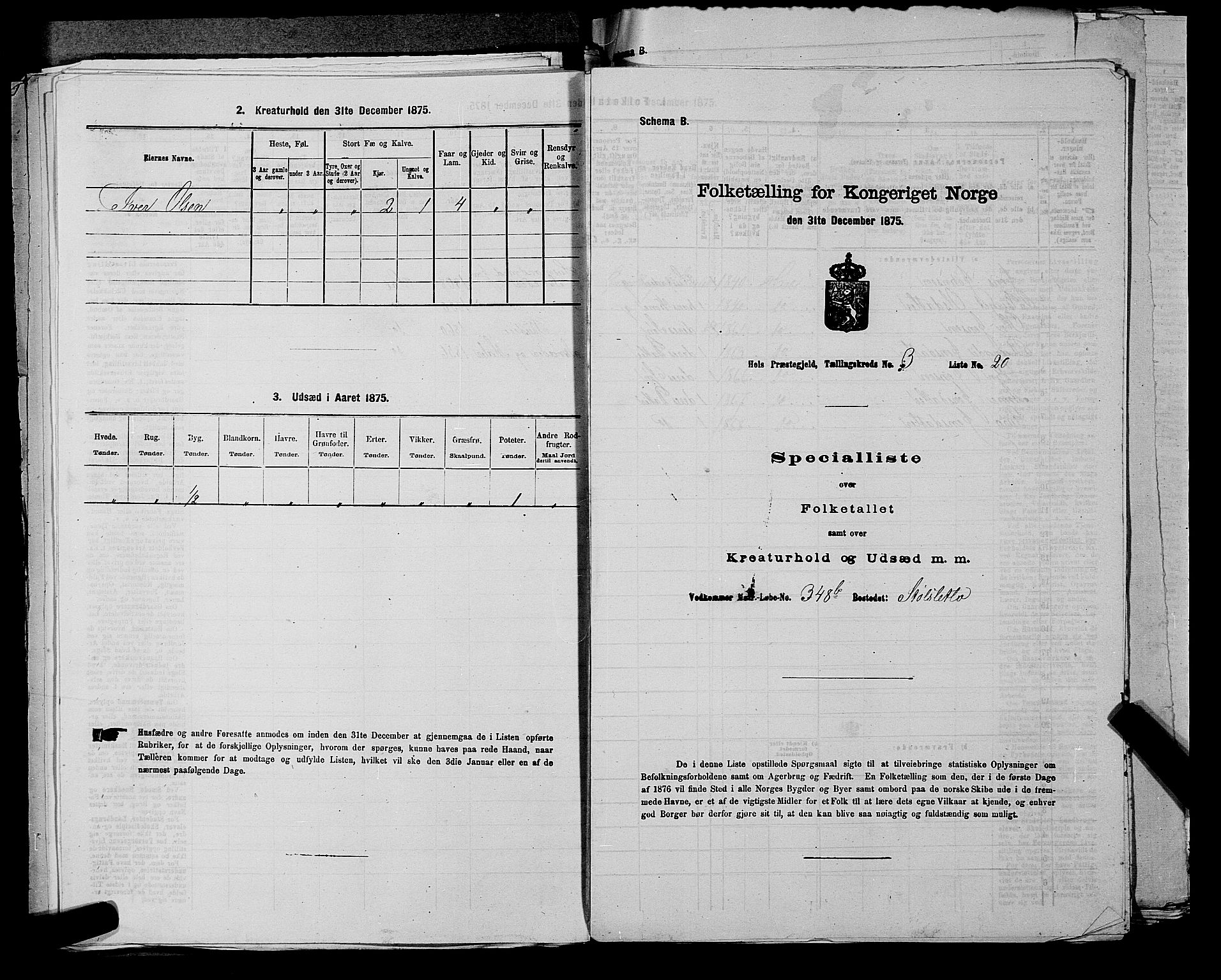 SAKO, Folketelling 1875 for 0620P Hol prestegjeld, 1875, s. 417