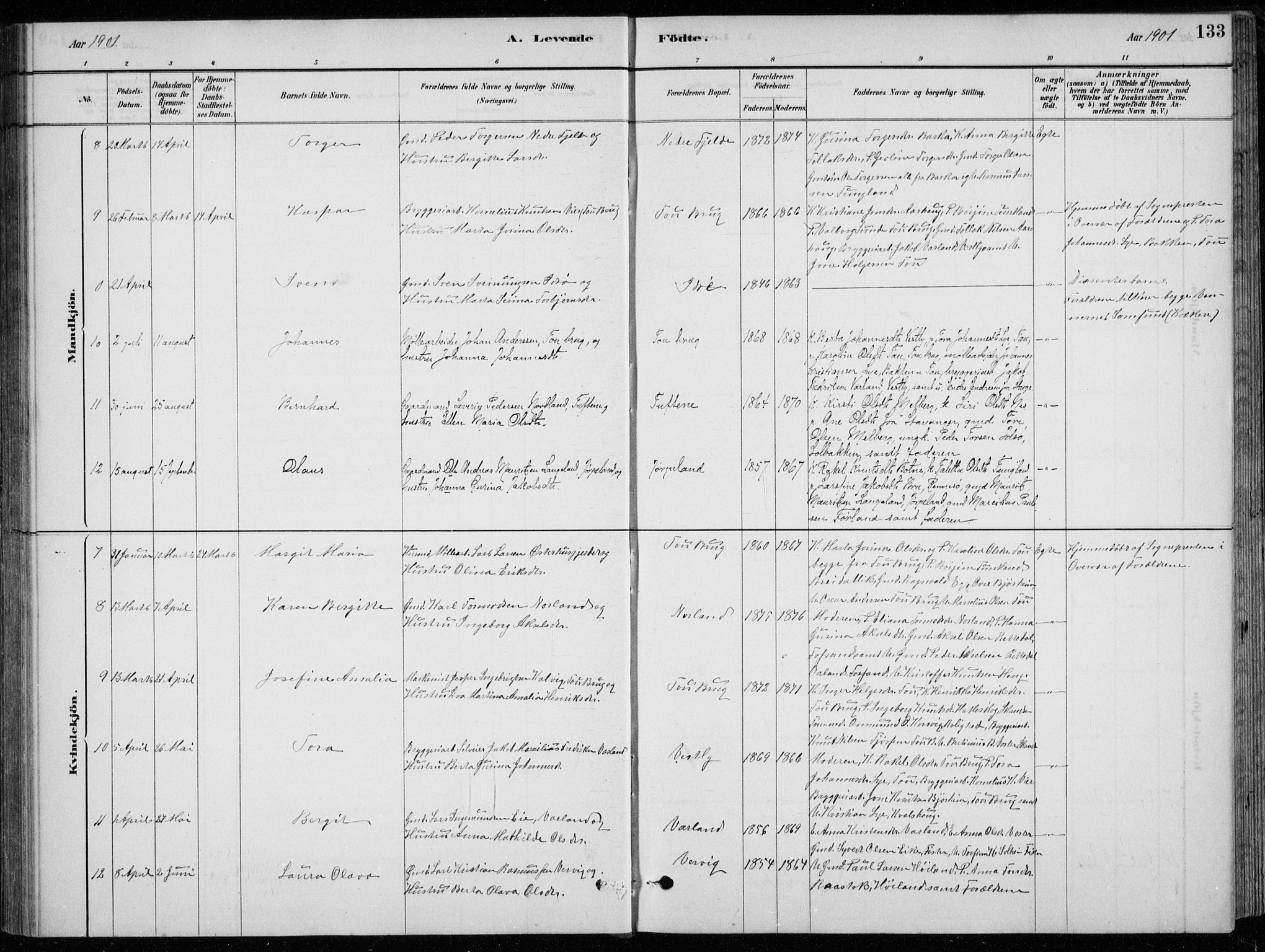 Strand sokneprestkontor, AV/SAST-A-101828/H/Ha/Hab/L0004: Klokkerbok nr. B 4, 1878-1903, s. 133