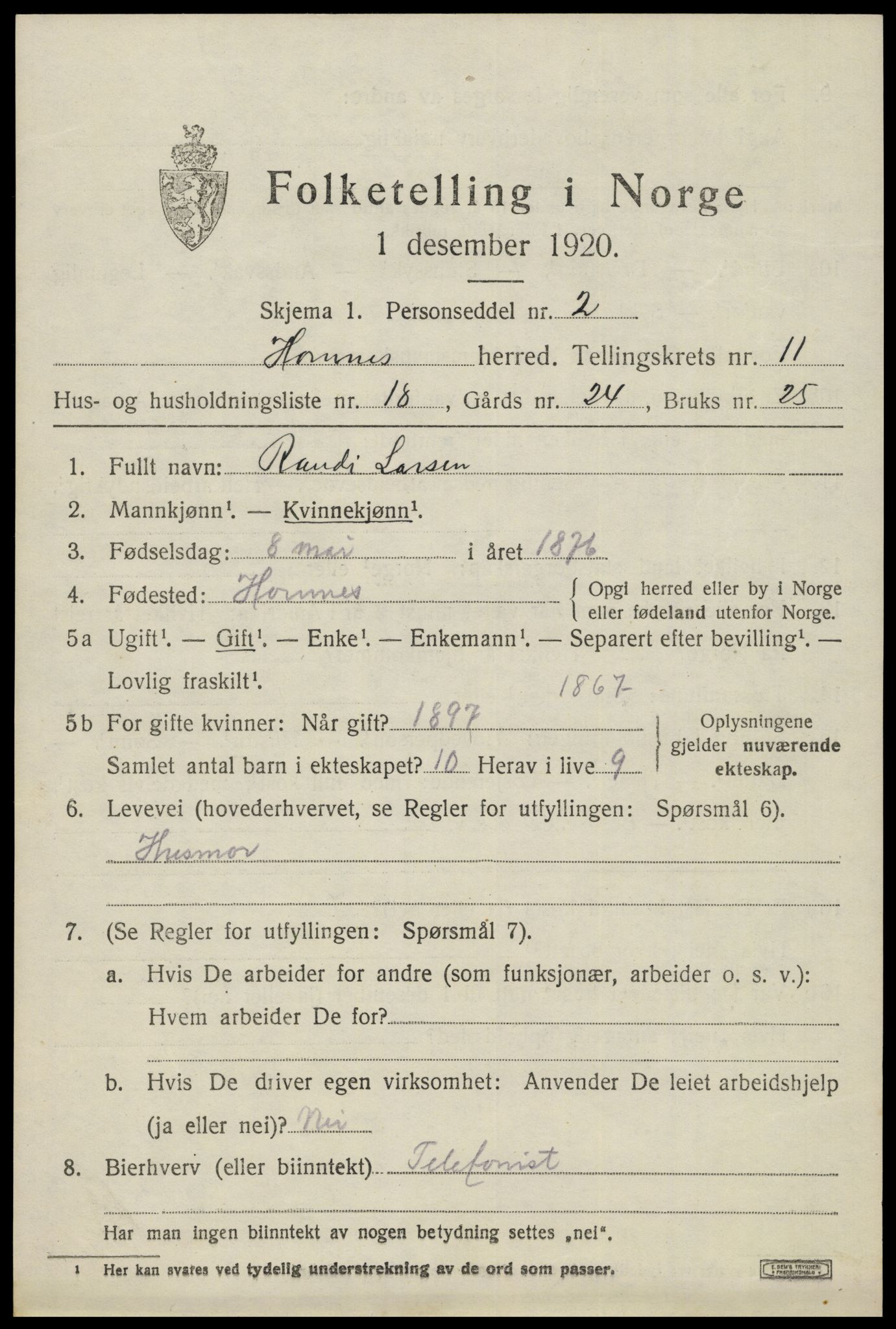 SAK, Folketelling 1920 for 0936 Hornnes herred, 1920, s. 2847