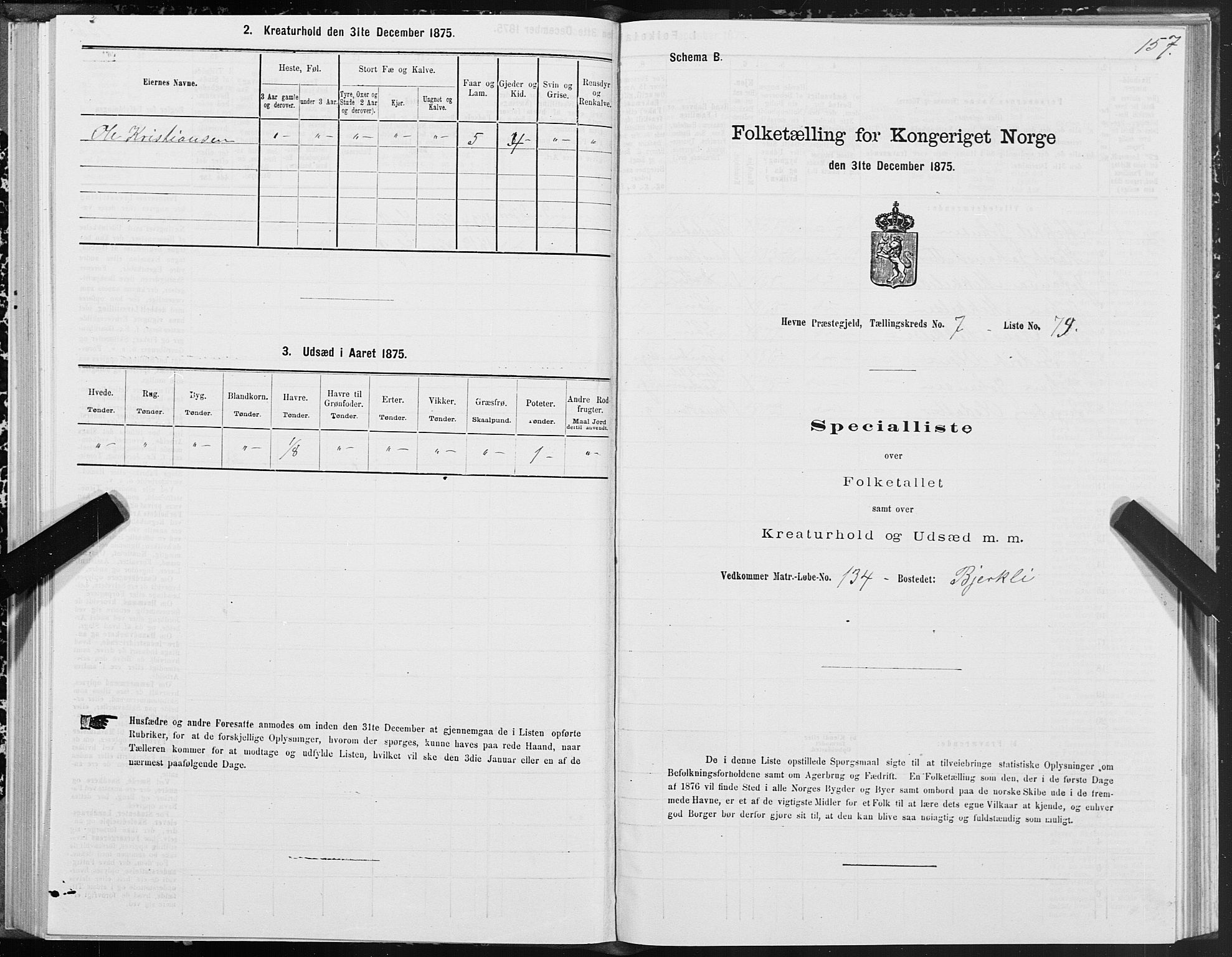 SAT, Folketelling 1875 for 1612P Hemne prestegjeld, 1875, s. 4157