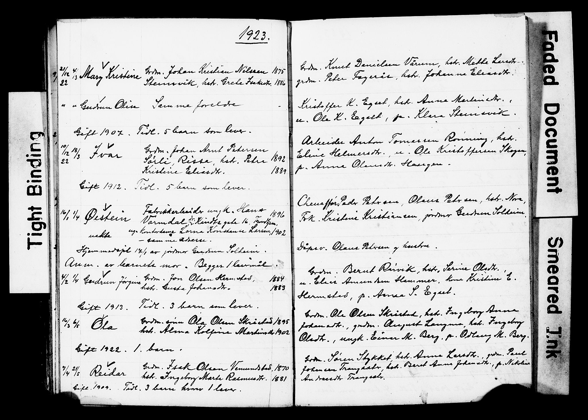 Ministerialprotokoller, klokkerbøker og fødselsregistre - Sør-Trøndelag, AV/SAT-A-1456/646/L0631: Klokkerbok nr. 646C04, 1917-1930