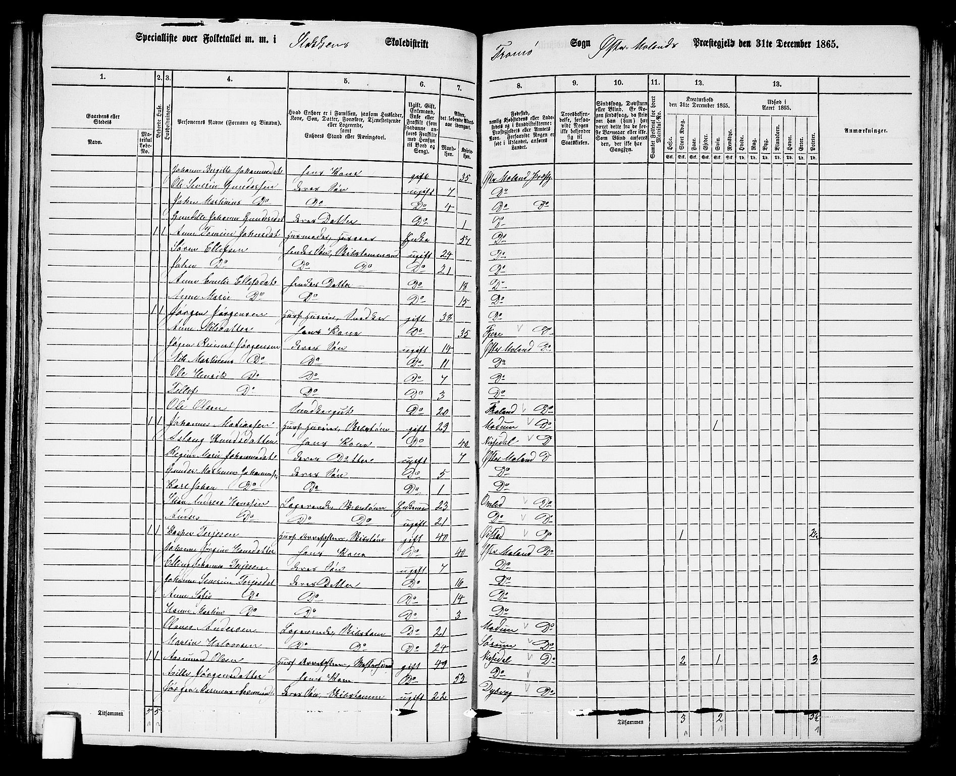 RA, Folketelling 1865 for 0918P Austre Moland prestegjeld, 1865, s. 131