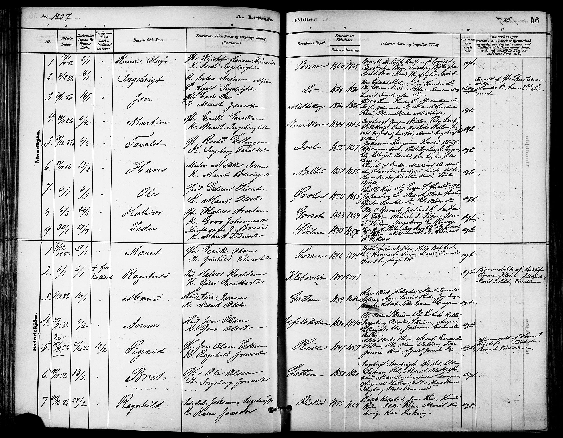 Ministerialprotokoller, klokkerbøker og fødselsregistre - Sør-Trøndelag, SAT/A-1456/678/L0901: Ministerialbok nr. 678A10, 1881-1894, s. 56