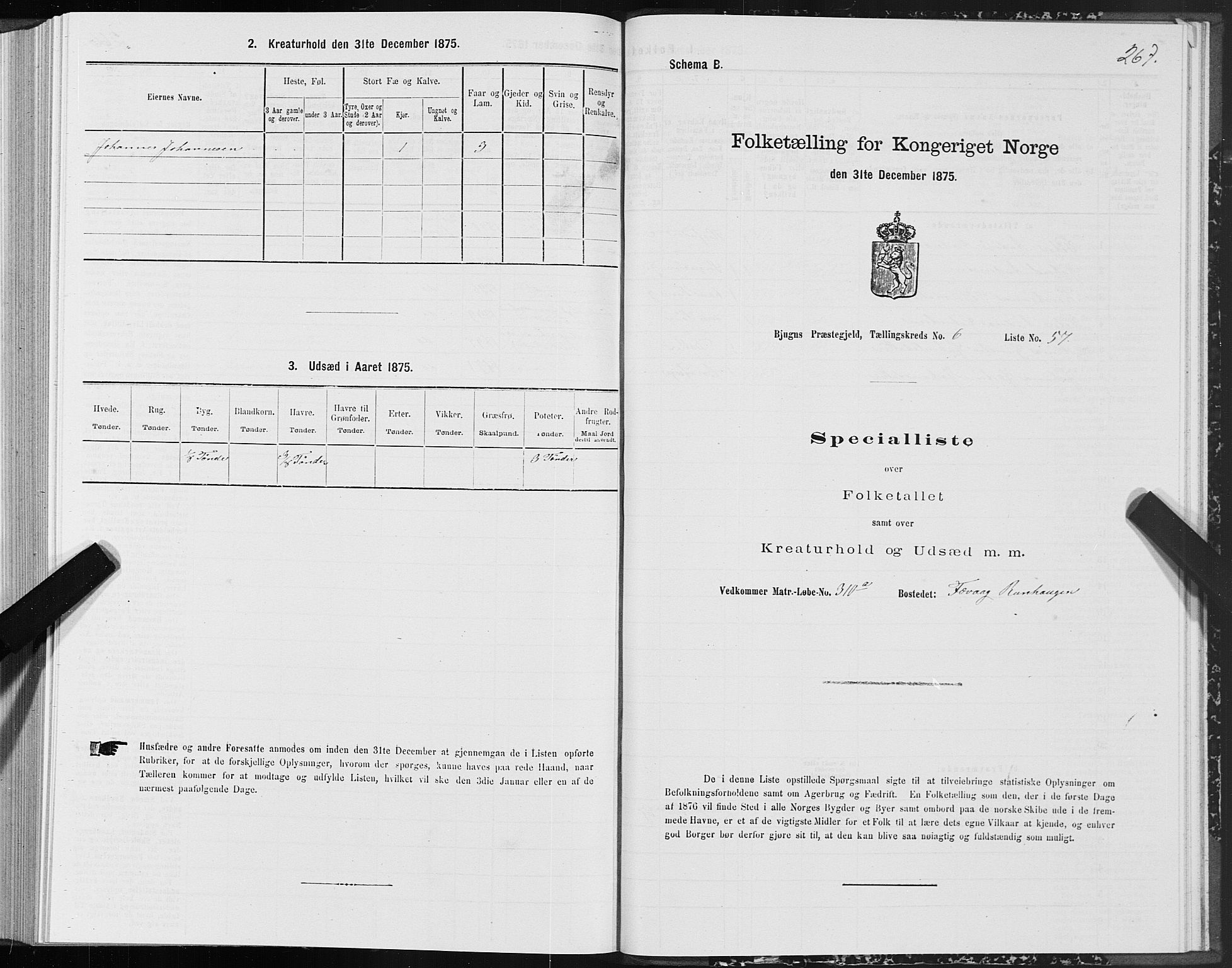 SAT, Folketelling 1875 for 1627P Bjugn prestegjeld, 1875, s. 3267