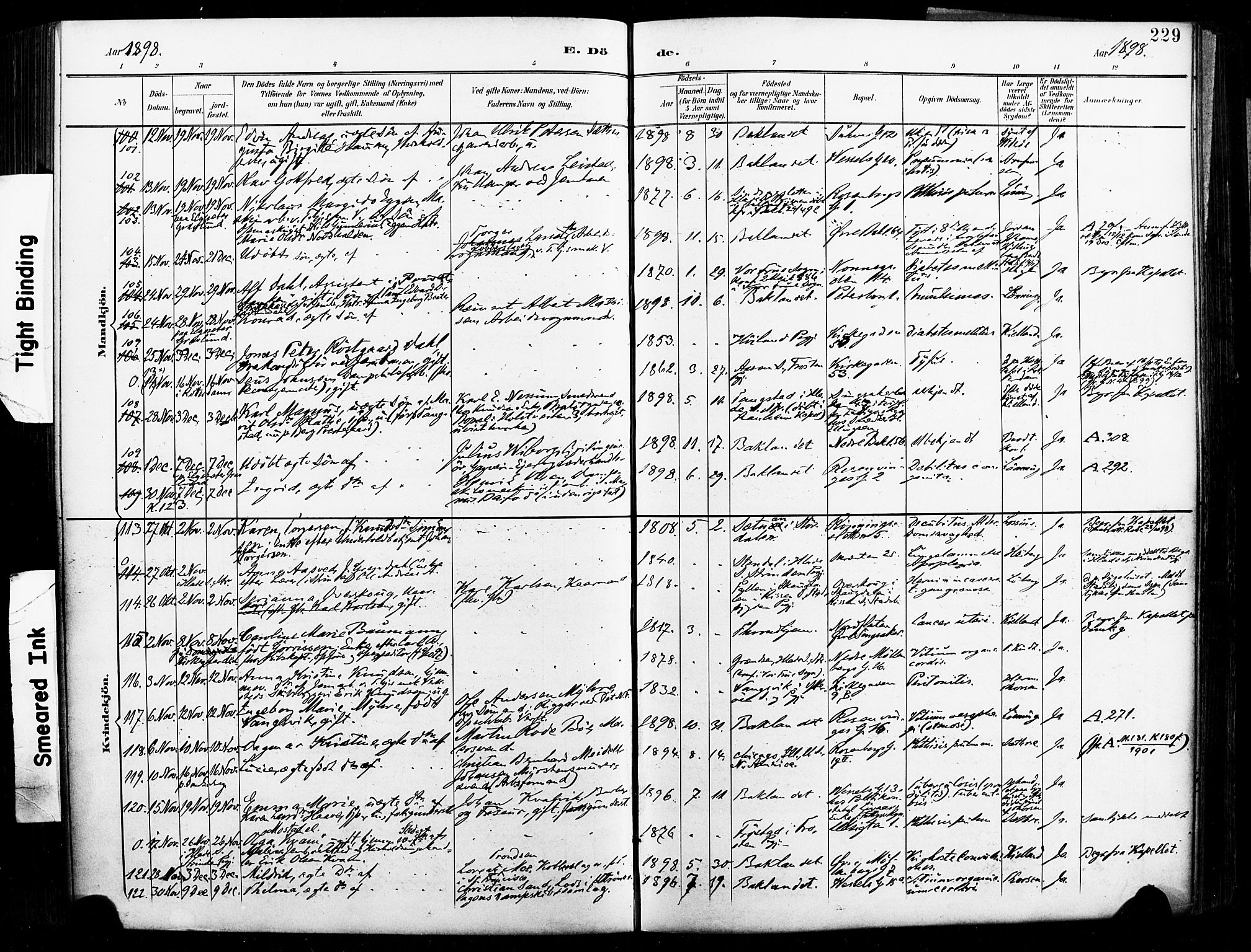 Ministerialprotokoller, klokkerbøker og fødselsregistre - Sør-Trøndelag, SAT/A-1456/604/L0198: Ministerialbok nr. 604A19, 1893-1900, s. 229