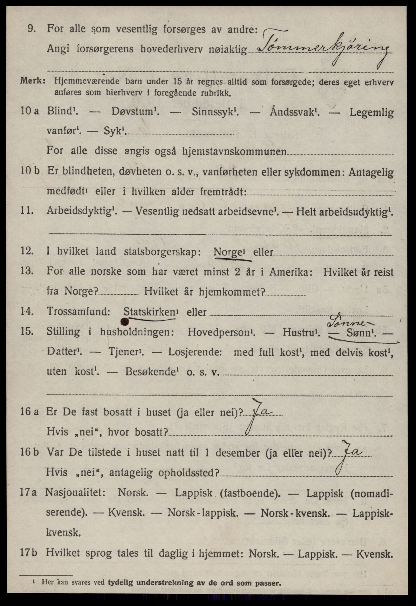 SAT, Folketelling 1920 for 1664 Selbu herred, 1920, s. 3721