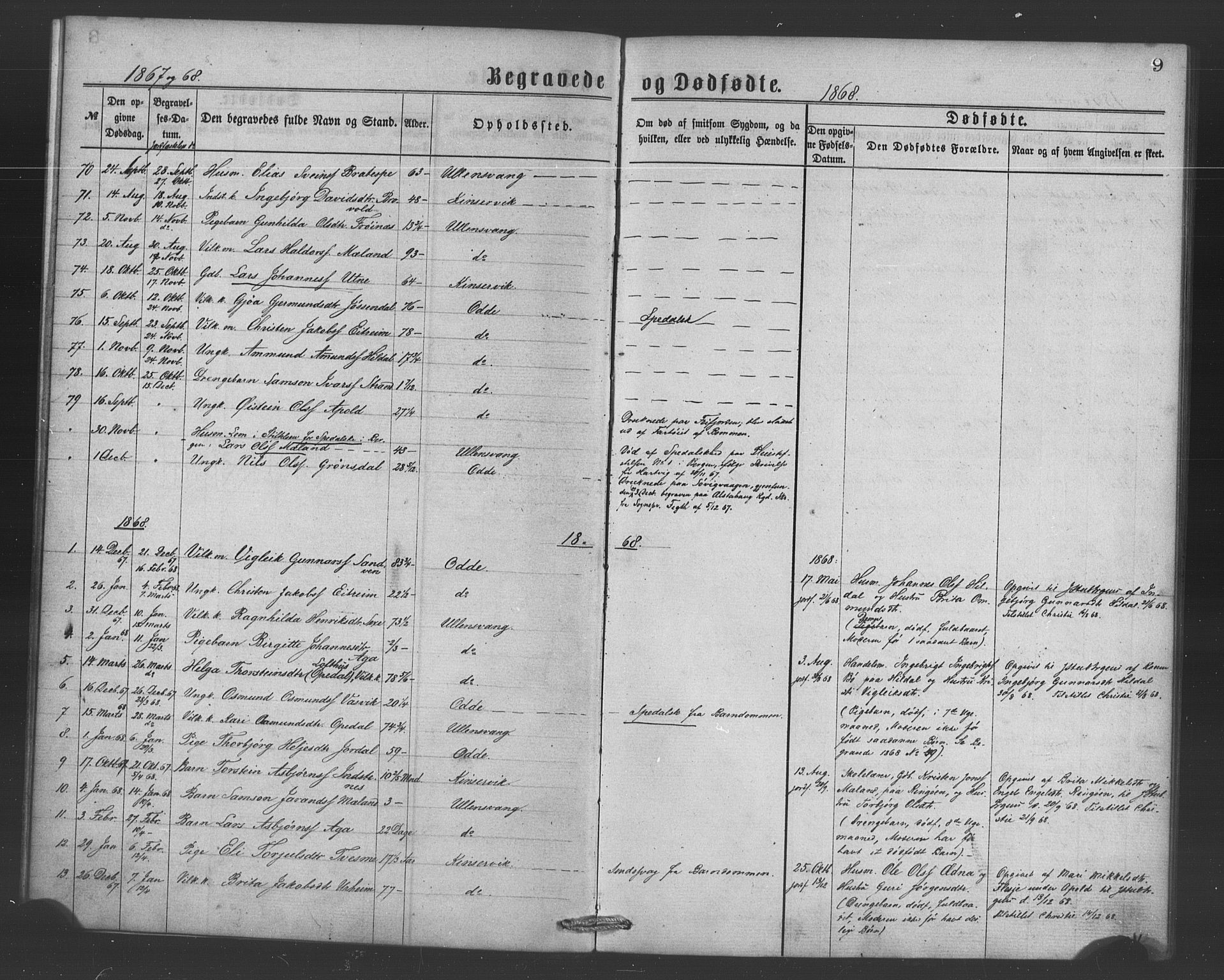 Ullensvang sokneprestembete, AV/SAB-A-78701/H/Haa: Ministerialbok nr. A 15, 1867-1882, s. 9